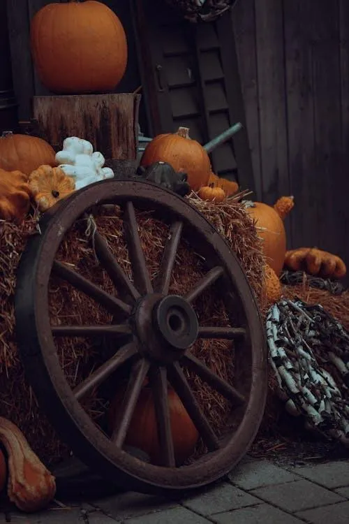 Vintage Wagon Wheel and Pumpkins in Rustic Decoration HD