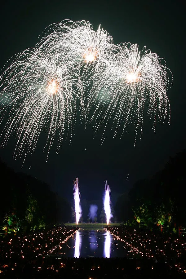 Water fountains and fireworks display in the night sky