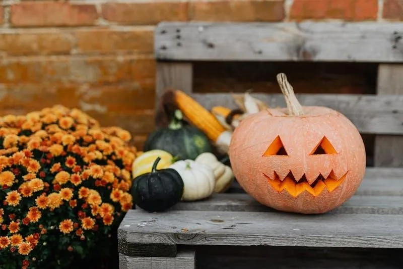 White Pumpkin with Face and Mums on Porch Wallpaper