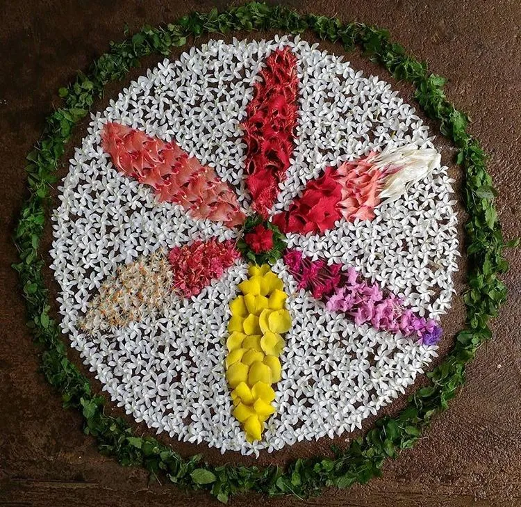 Wide flower petal design pookolam with a white backdrop