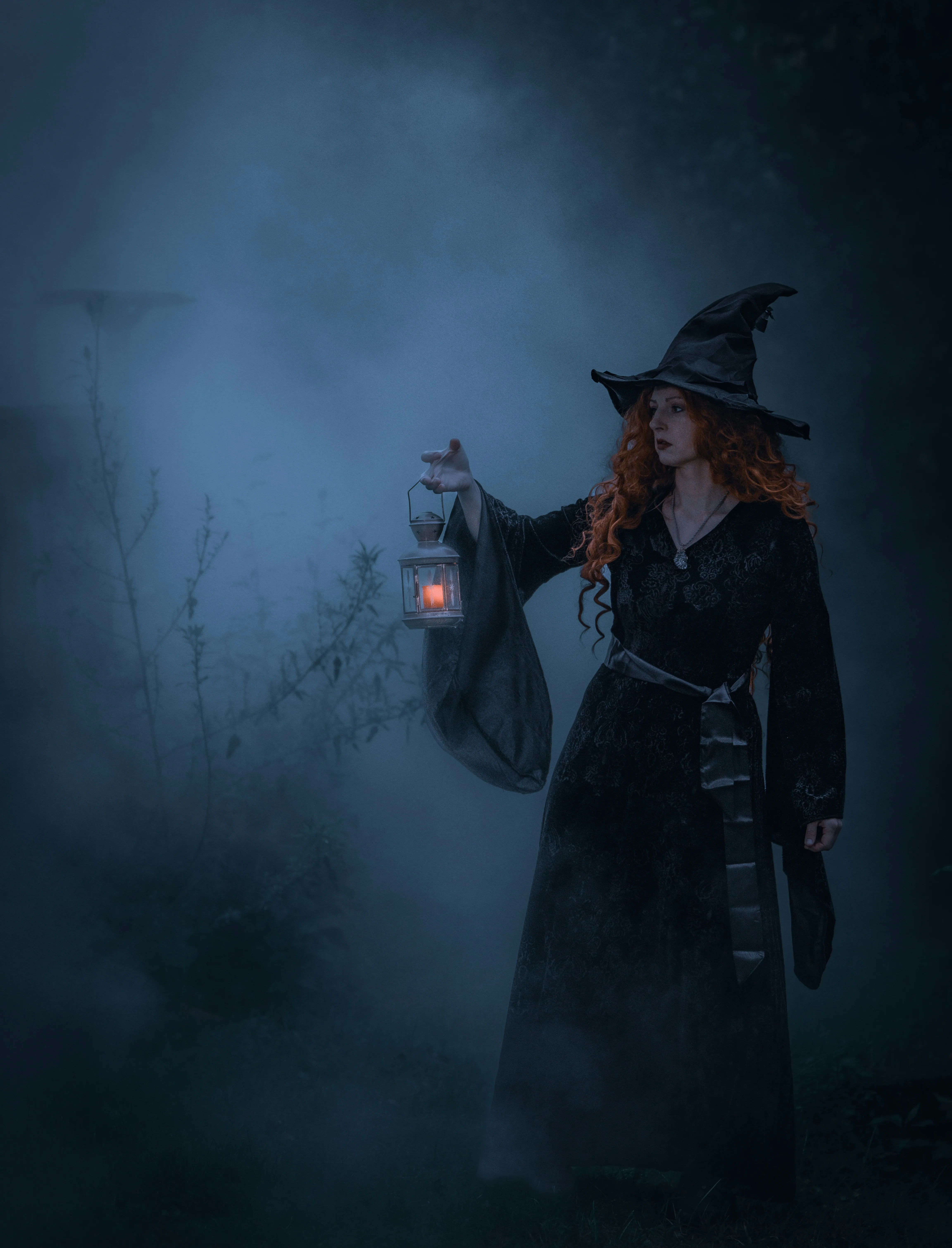 Witch Holding Lantern in Misty Forest free HD Wallpaper