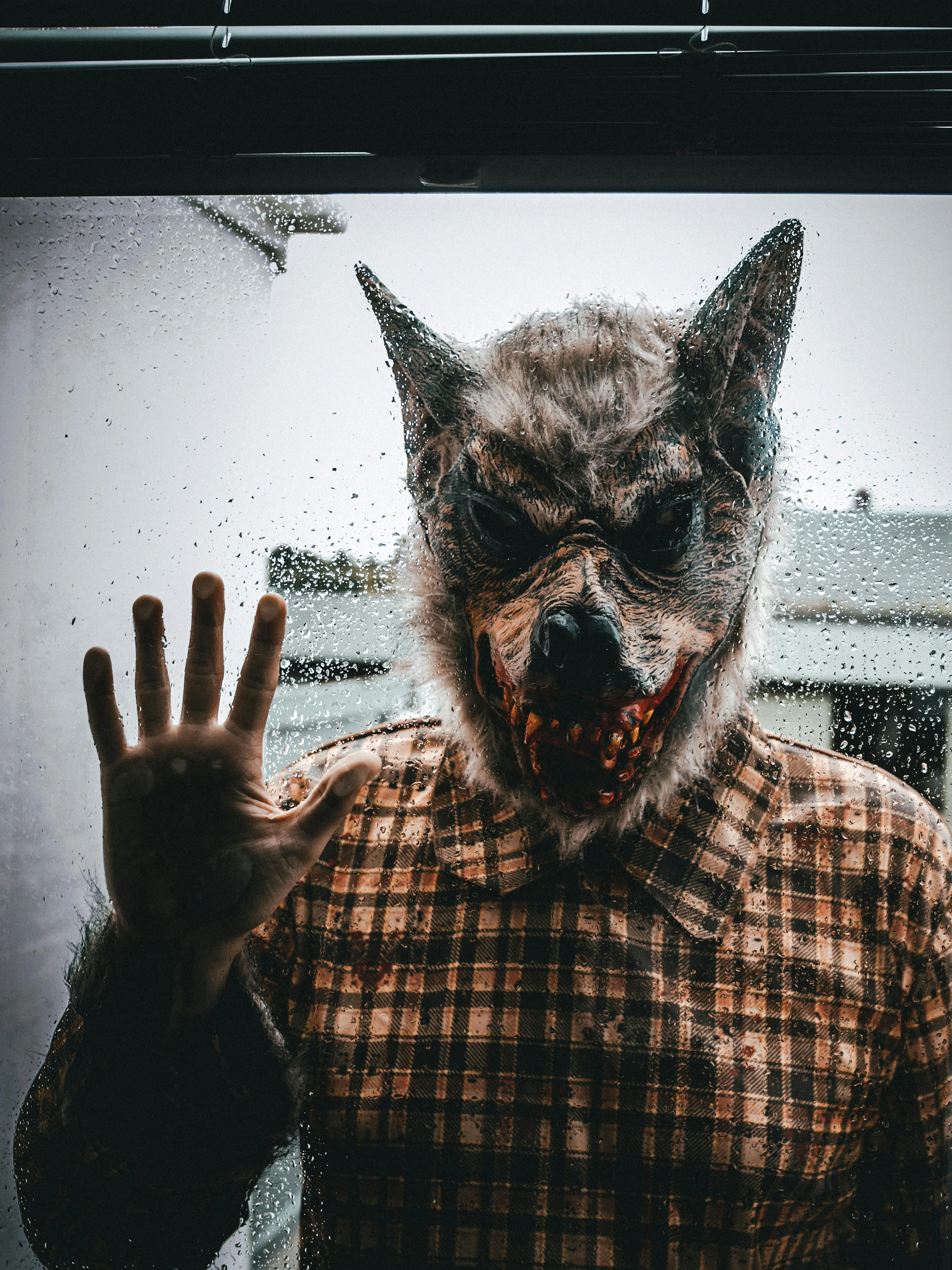 Wolfman Costume at Halloween Party with Spooky Vibe image