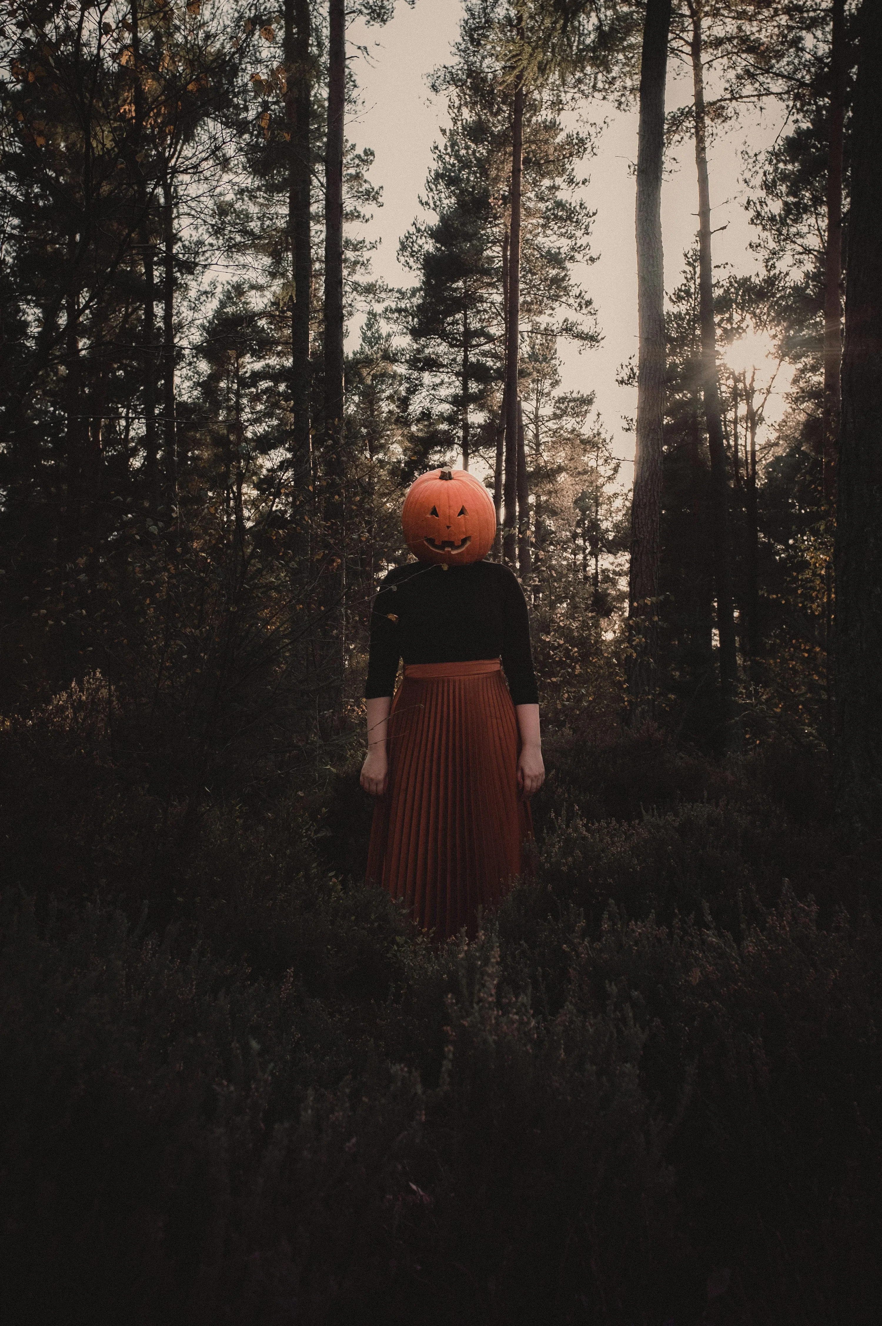 Woman in Forest Holding Pumpkin Wearing Long Dress Image
