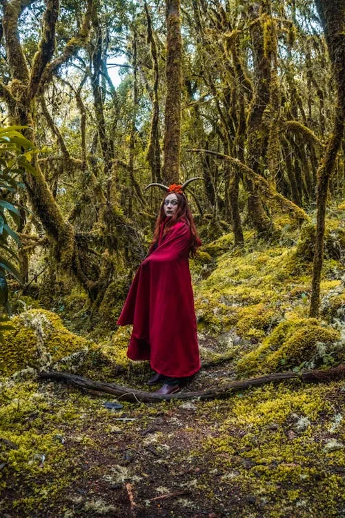 Woman in Red Cloak Walking Through Mysterious Forest