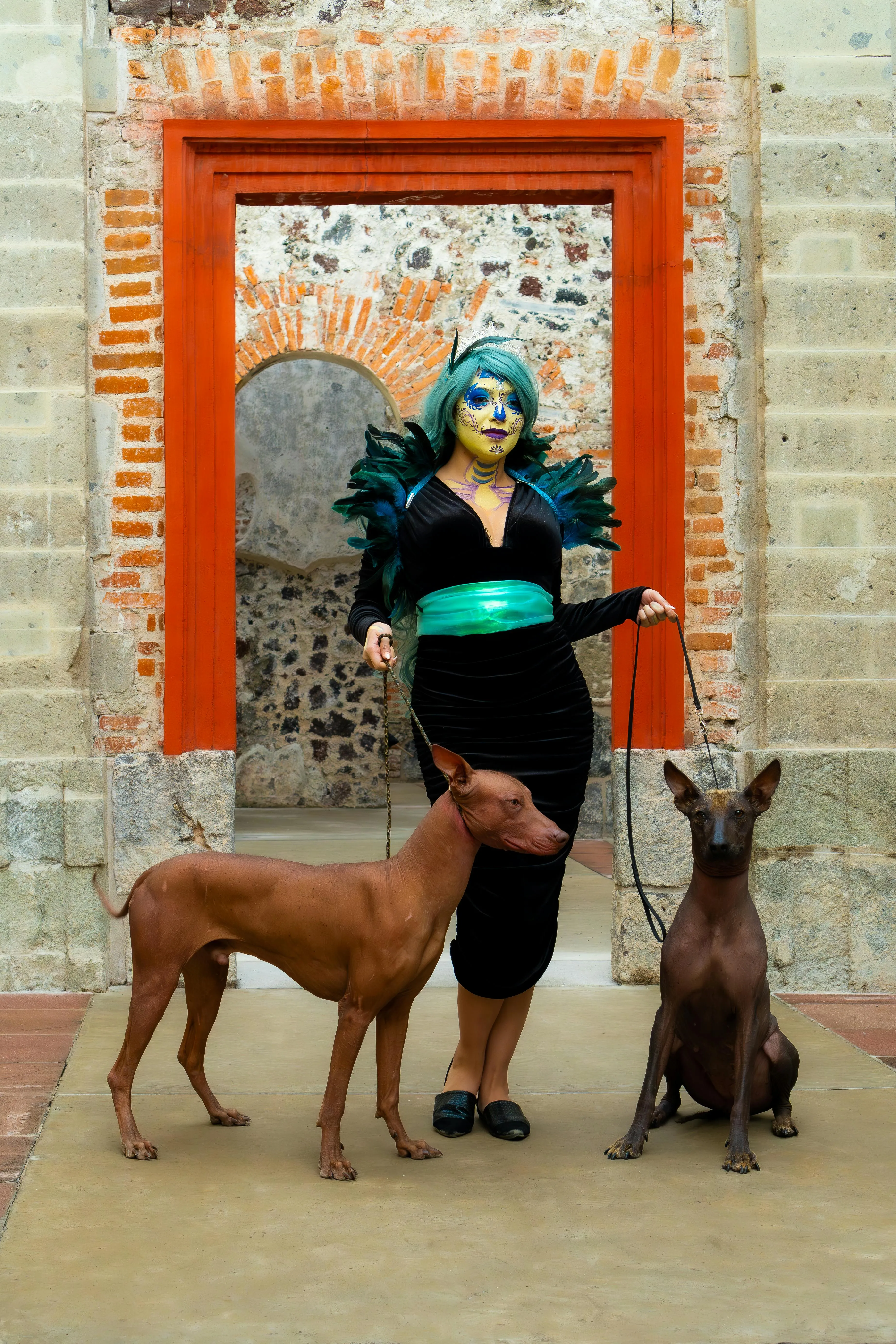 Woman with Dogs in Halloween Costume at Outside image