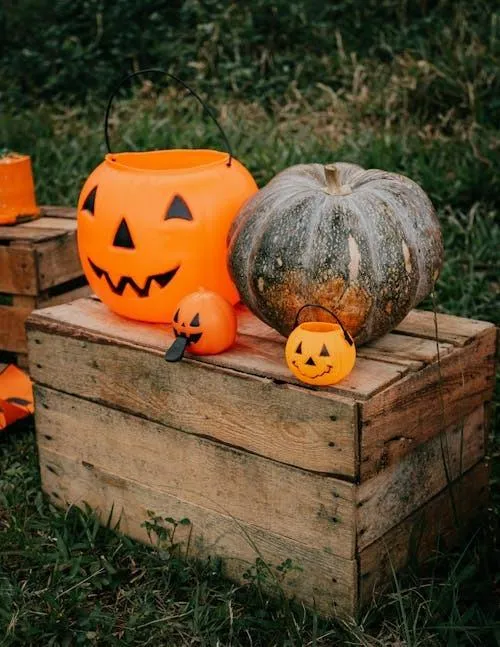 Wooden Crates with Halloween Pumpkins and Gourds Image