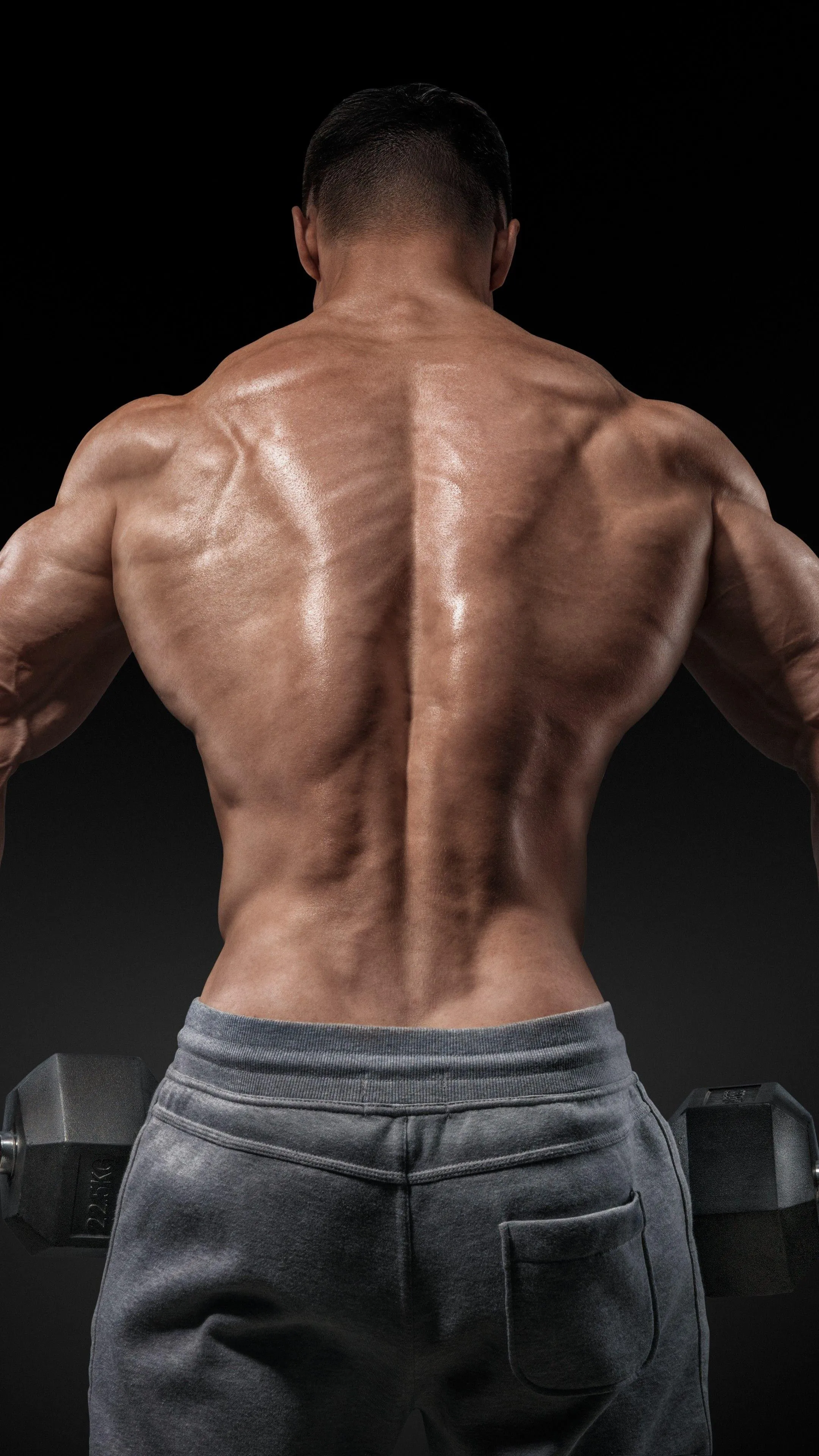 Back Muscles Flexed While Holding Dumbbells Free Wallpaper