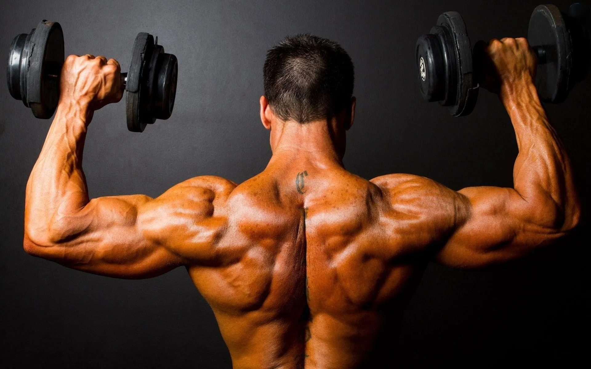 Back View of a Man Lifting Dumbbells For Shoulder Muscles
