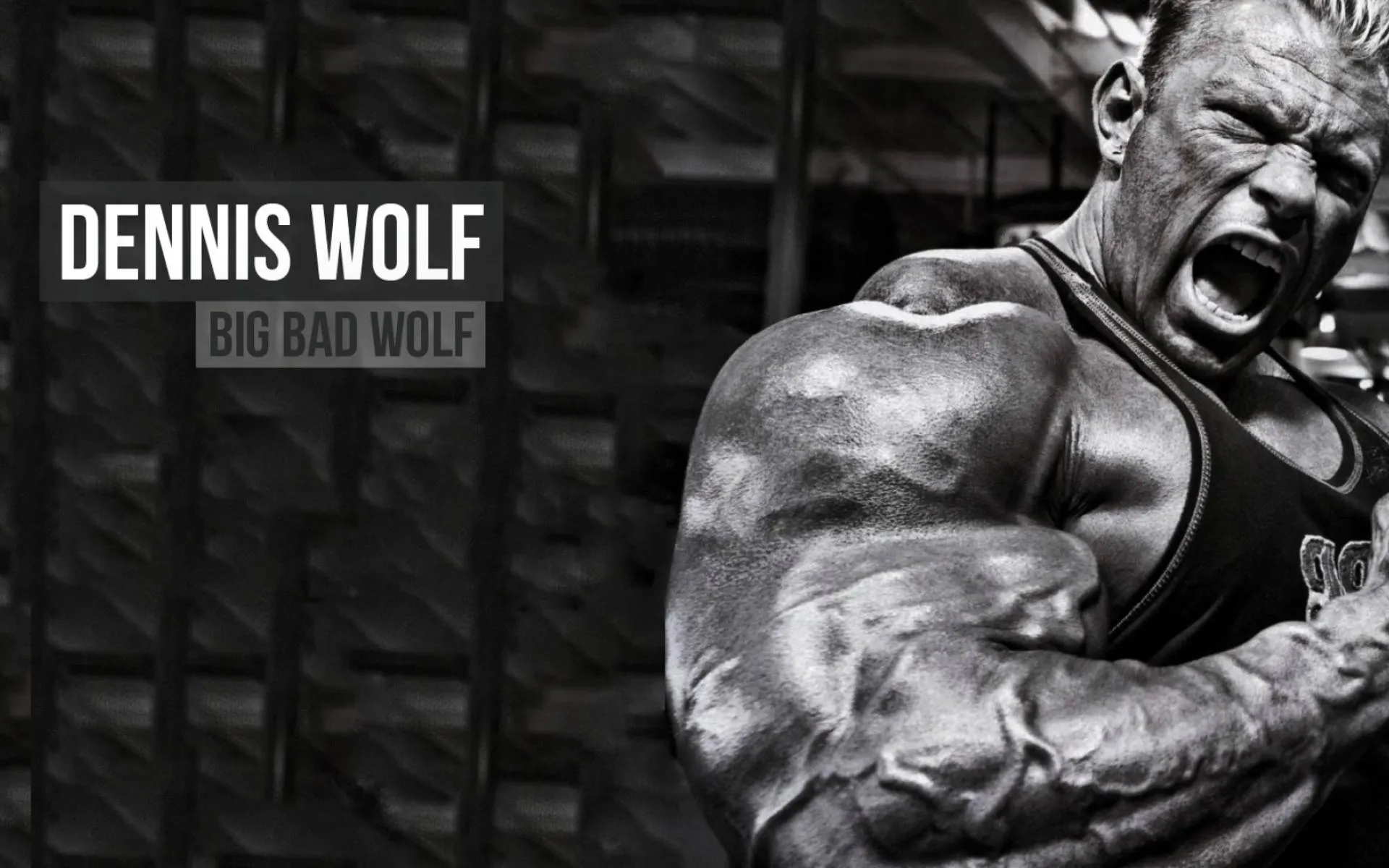 Black and White of Dennis Wolf Training Hard Hd Wallpaper