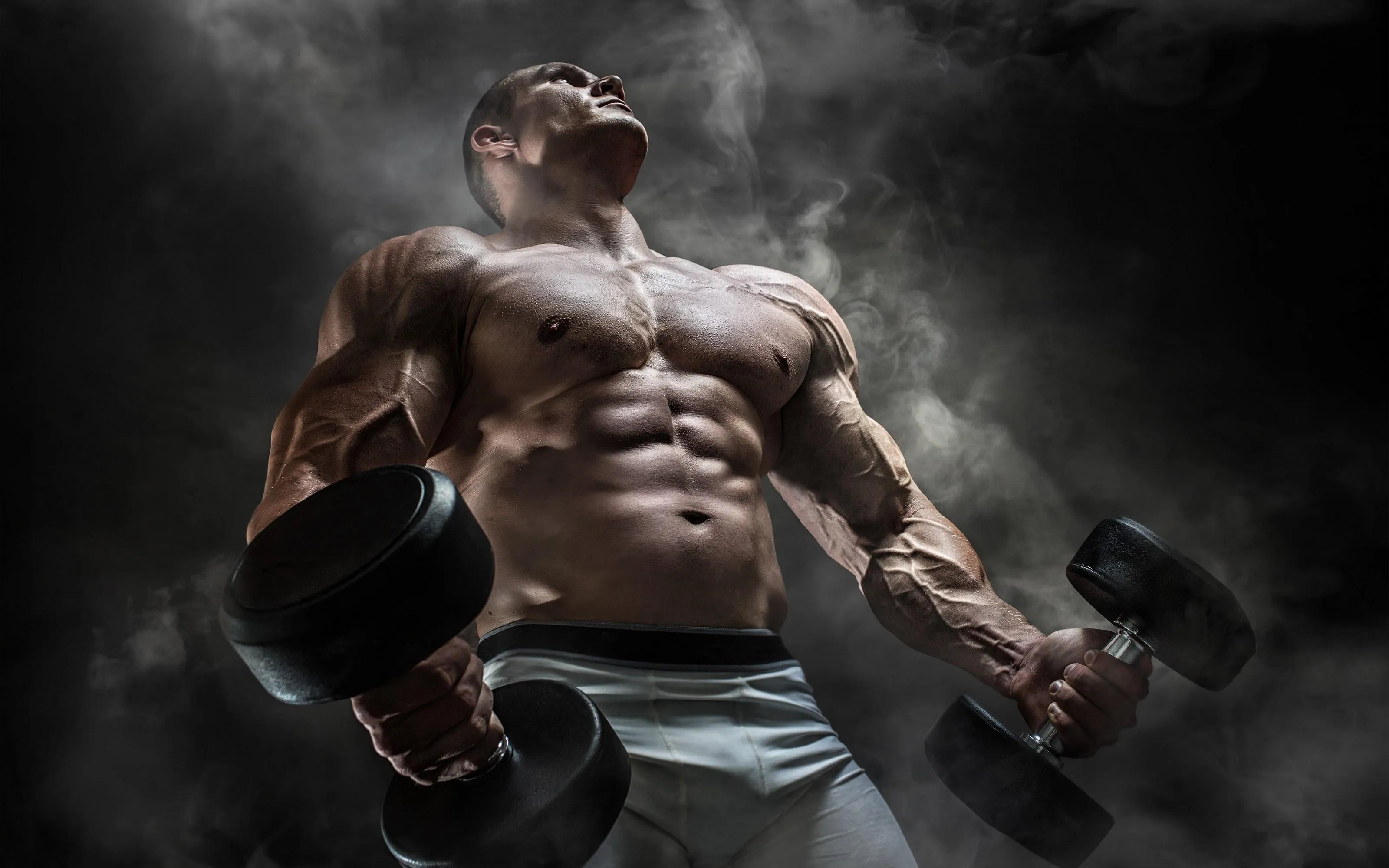 Bodybuilder Curling Dumbbells With Flexed Wide Chest
