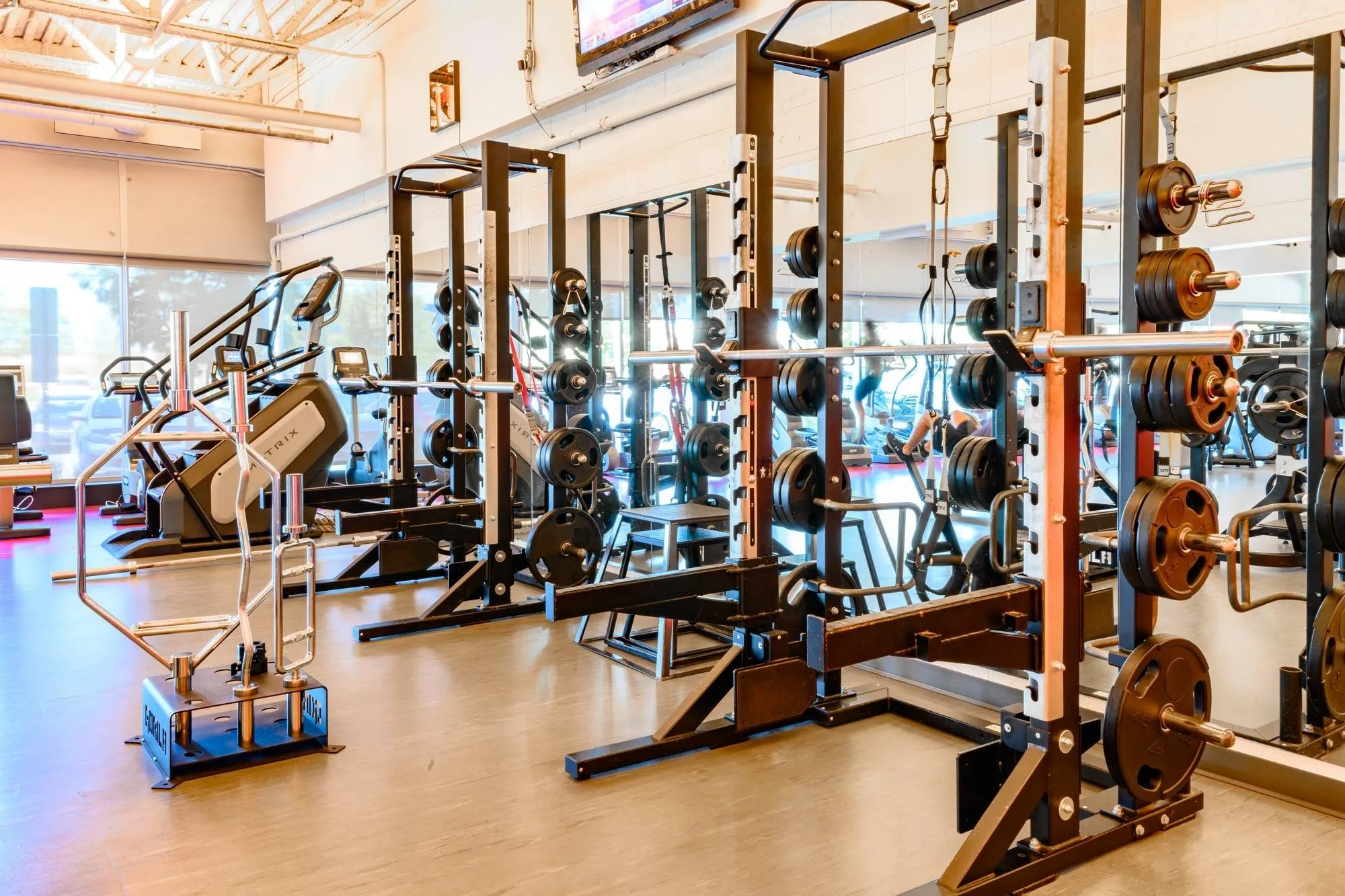 Bright Gym With Squat Racks and Weightlifting Stations