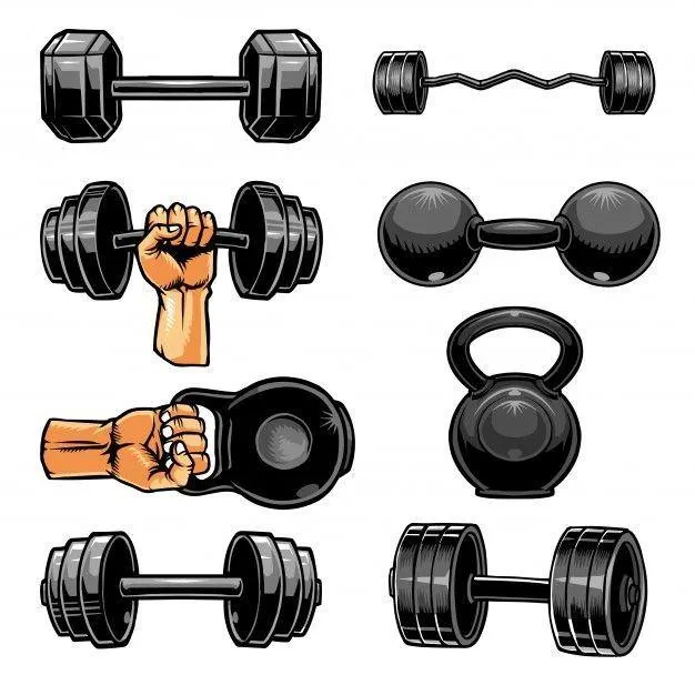 Cartoon Collection of Gym Dumbbells and Kettlebells