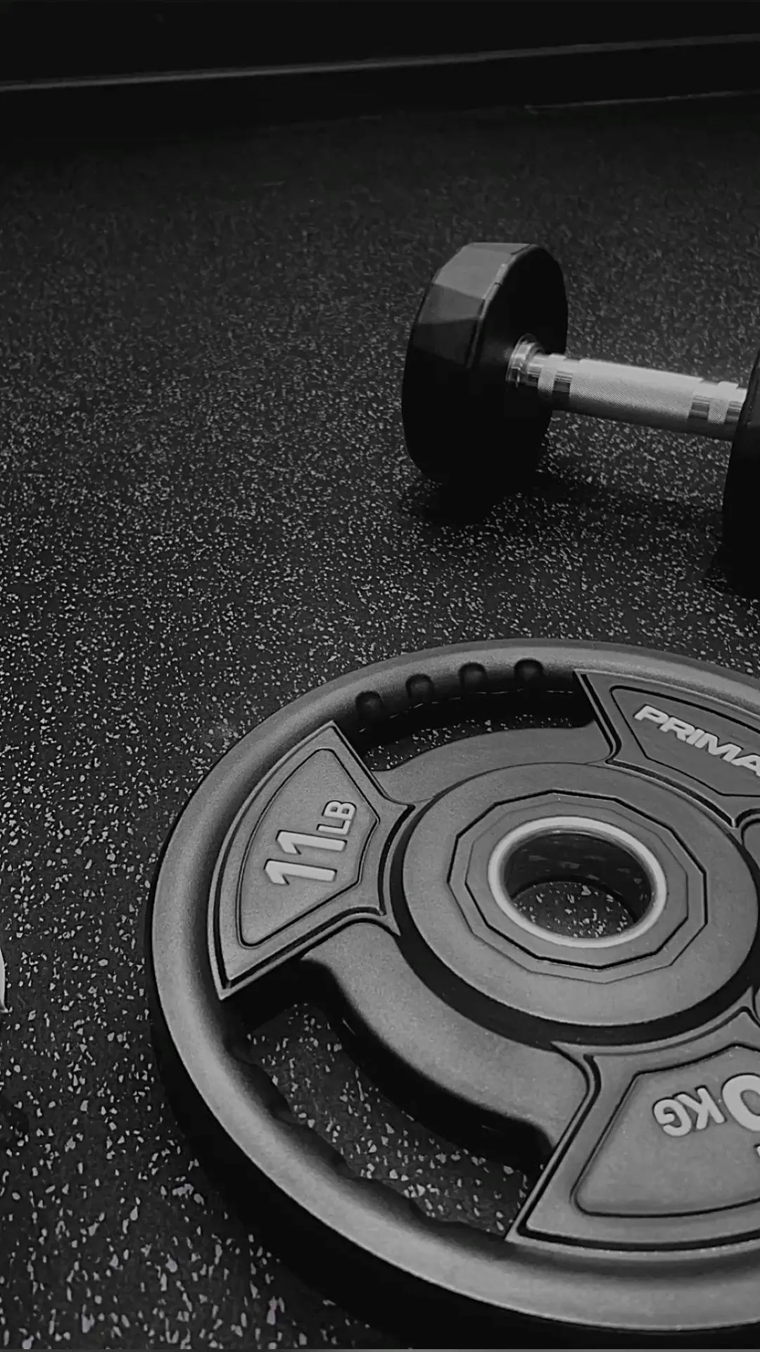 Close Up of Dumbbell and Plates on Gym Floor Mat Wallpaper