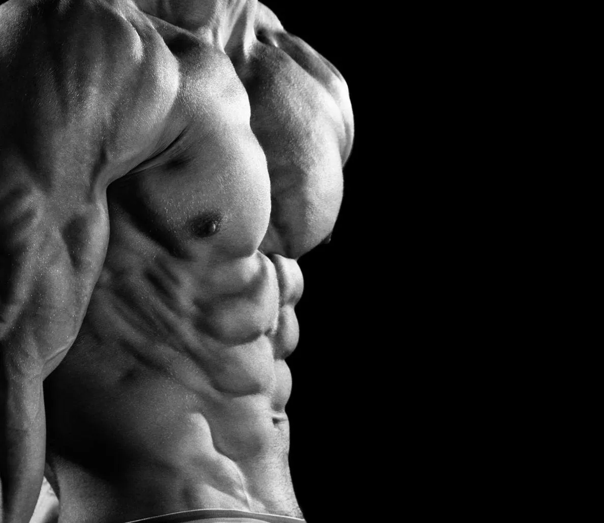 Close Up of Muscular Abs in Dramatic Black and White Light