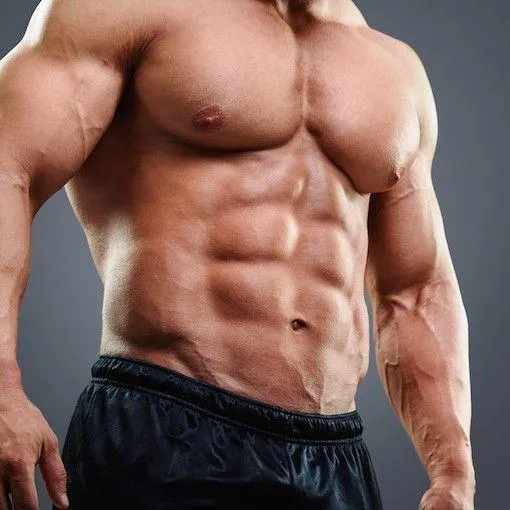 Close Up of Ripped Male Torso With Six Pack Abs Flexed