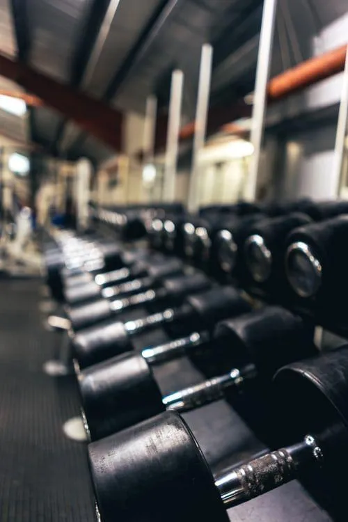 Close View Photo of Gym Dumbbells Neatly Arranged on a Rack