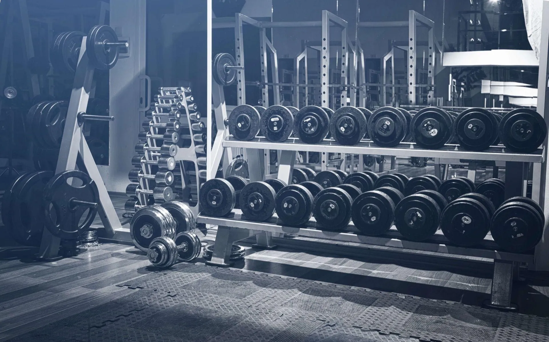 Gym Interior With Dumbbells Neatly Arranged on Racks