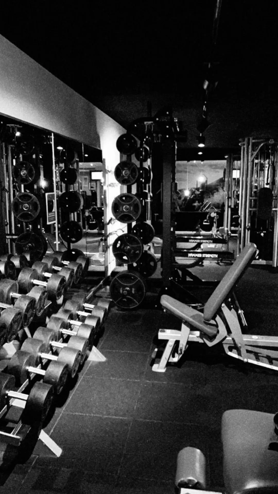 Gym Interior With Rows of Weightlifting Equipment Wallpaper