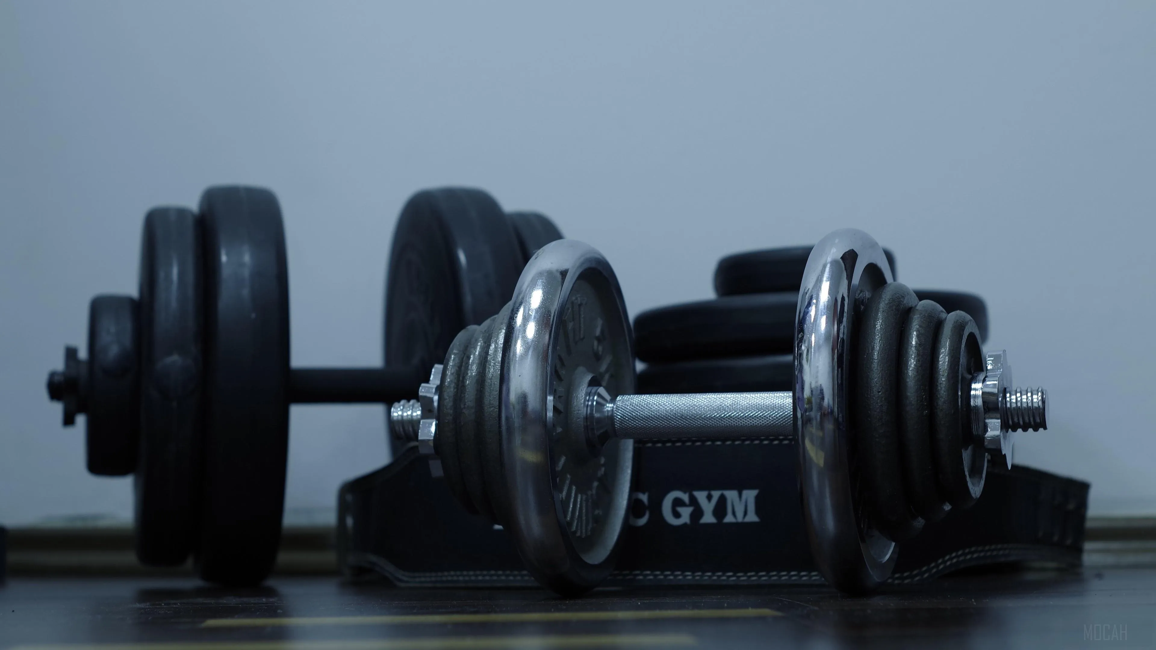Heavy Dumbbells Resting on a Gym Floor With a Blue Wall