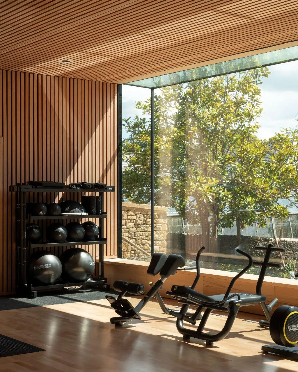 Modern Home Gym With Natural Light and Fitness Equipment