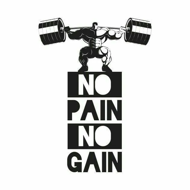 No Pain No Gain Fitness Poster With Dumbbell Free Wallpaper
