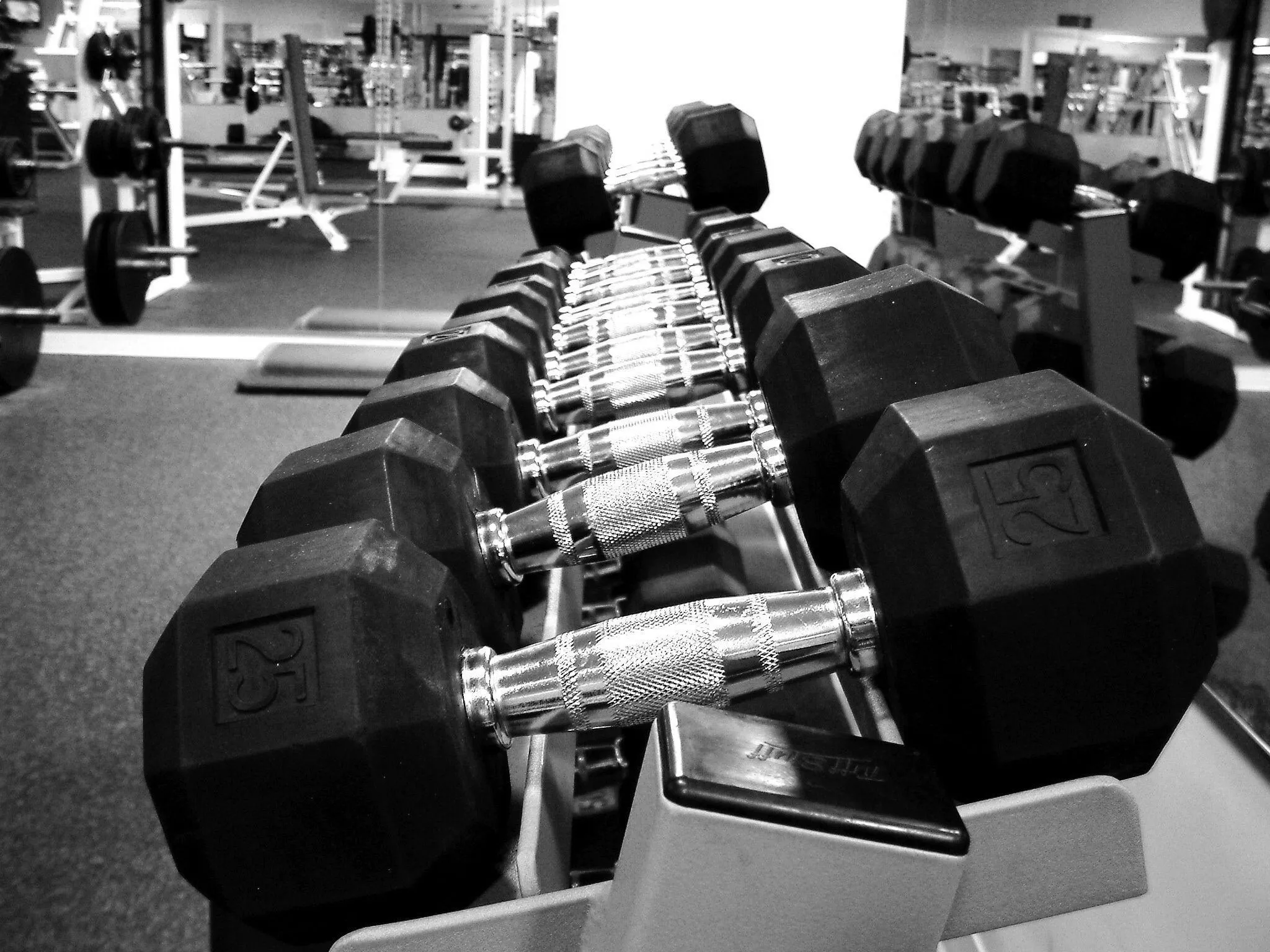 Row of Dumbbells in the Gym Download Free Portrait Wallpaper