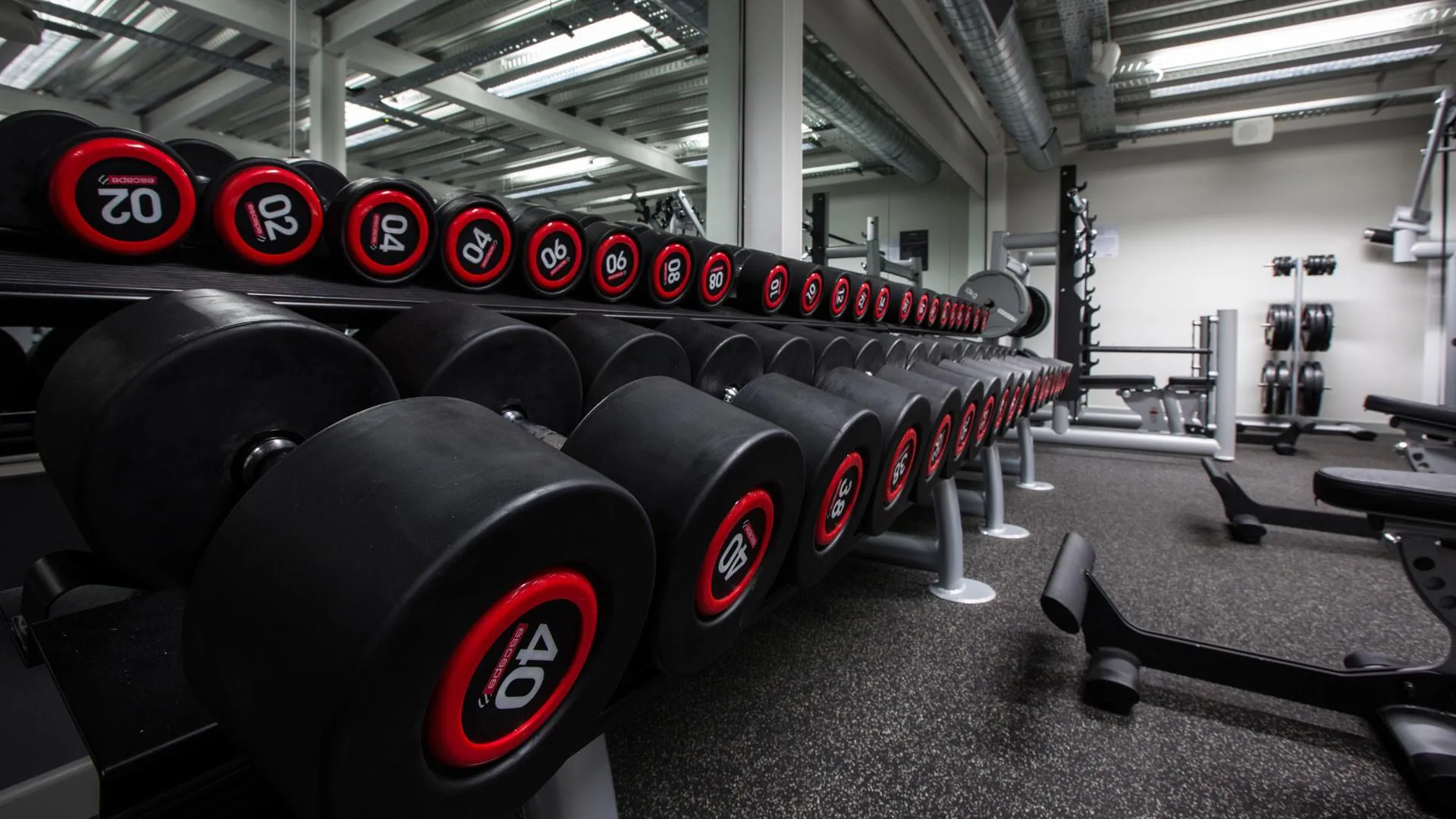 Row of Heavy Dumbbells Lined Up in a Modern Gym Environment