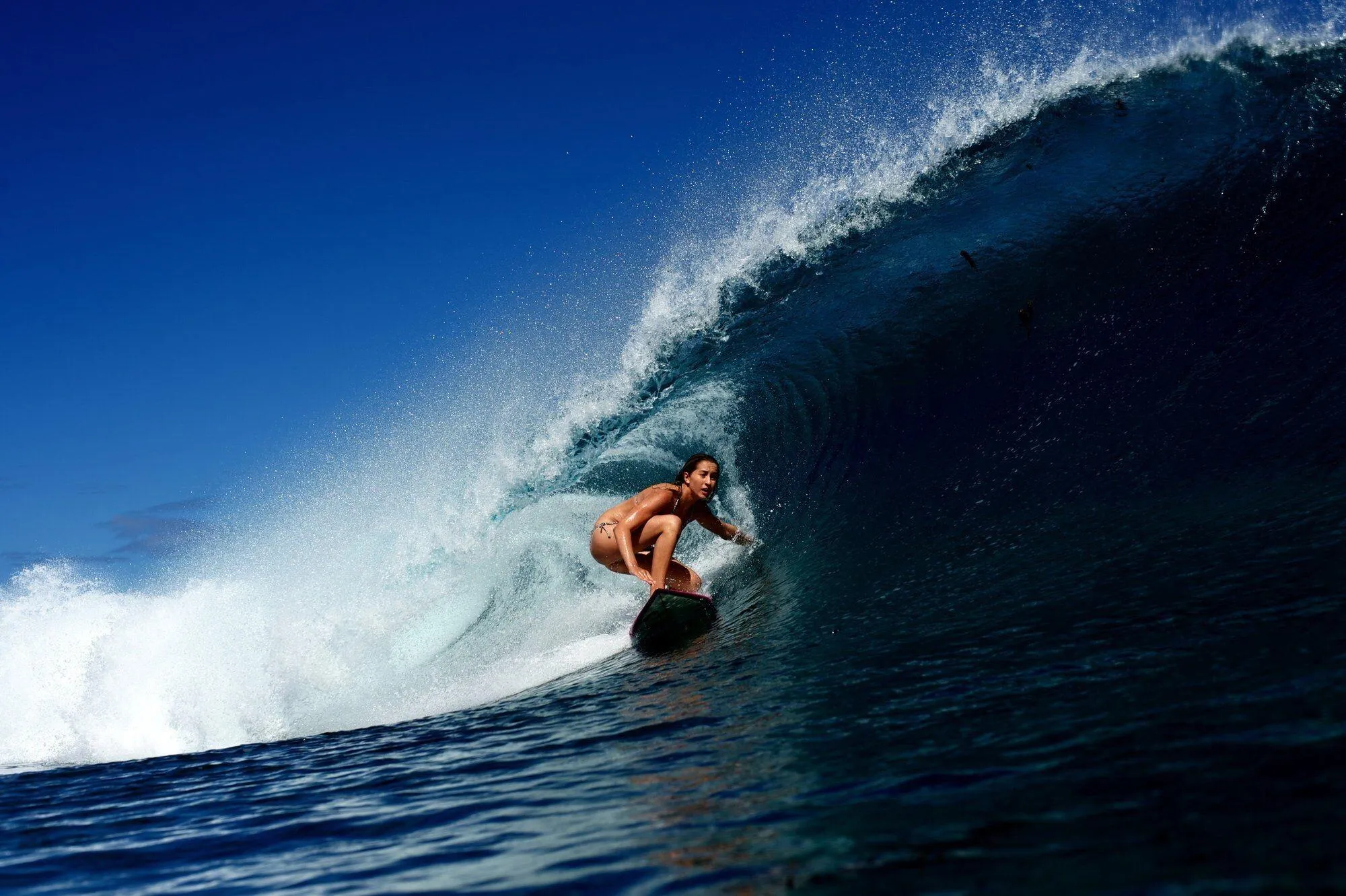 Surfer Catching a Powerful Ocean Wave Under Sunny Skies