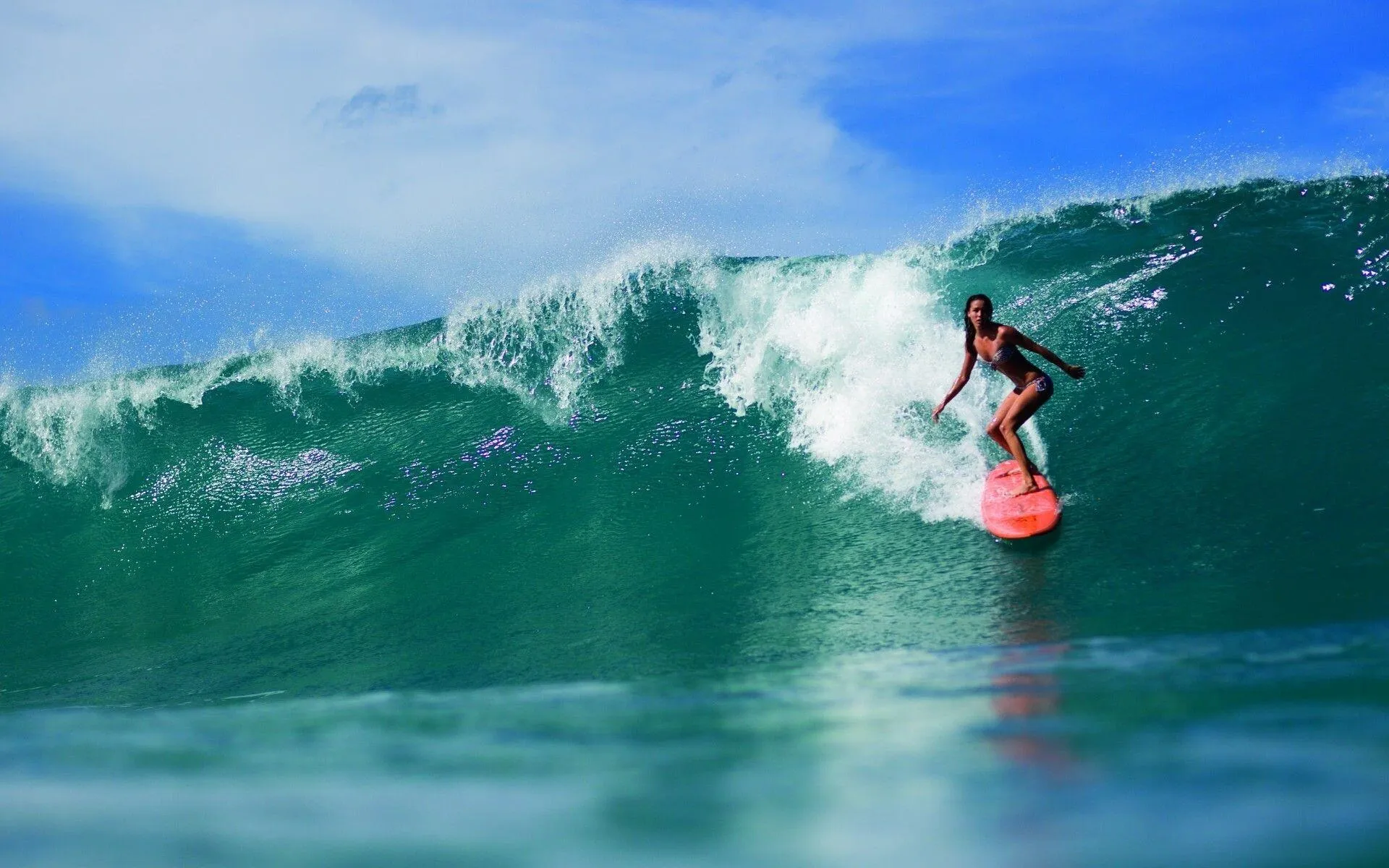 Surfer Riding a Large Ocean Wave with Clear Blue Sky Image