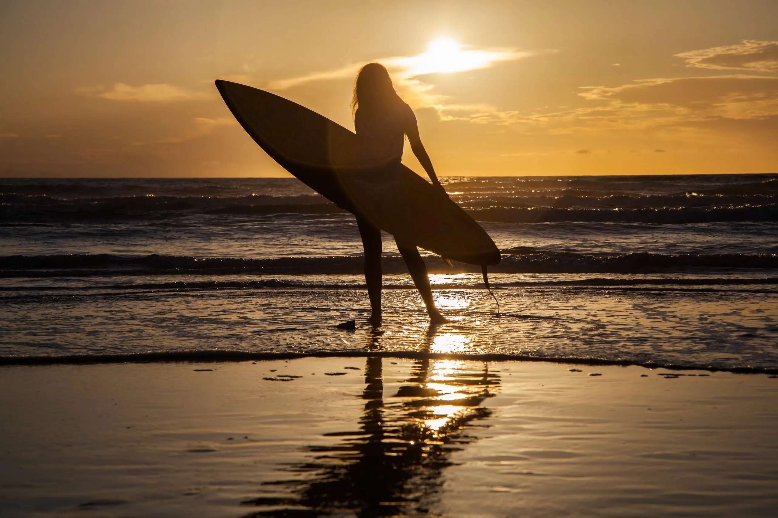 Surfer Walking Into the Golden Sunset Holding Her Board