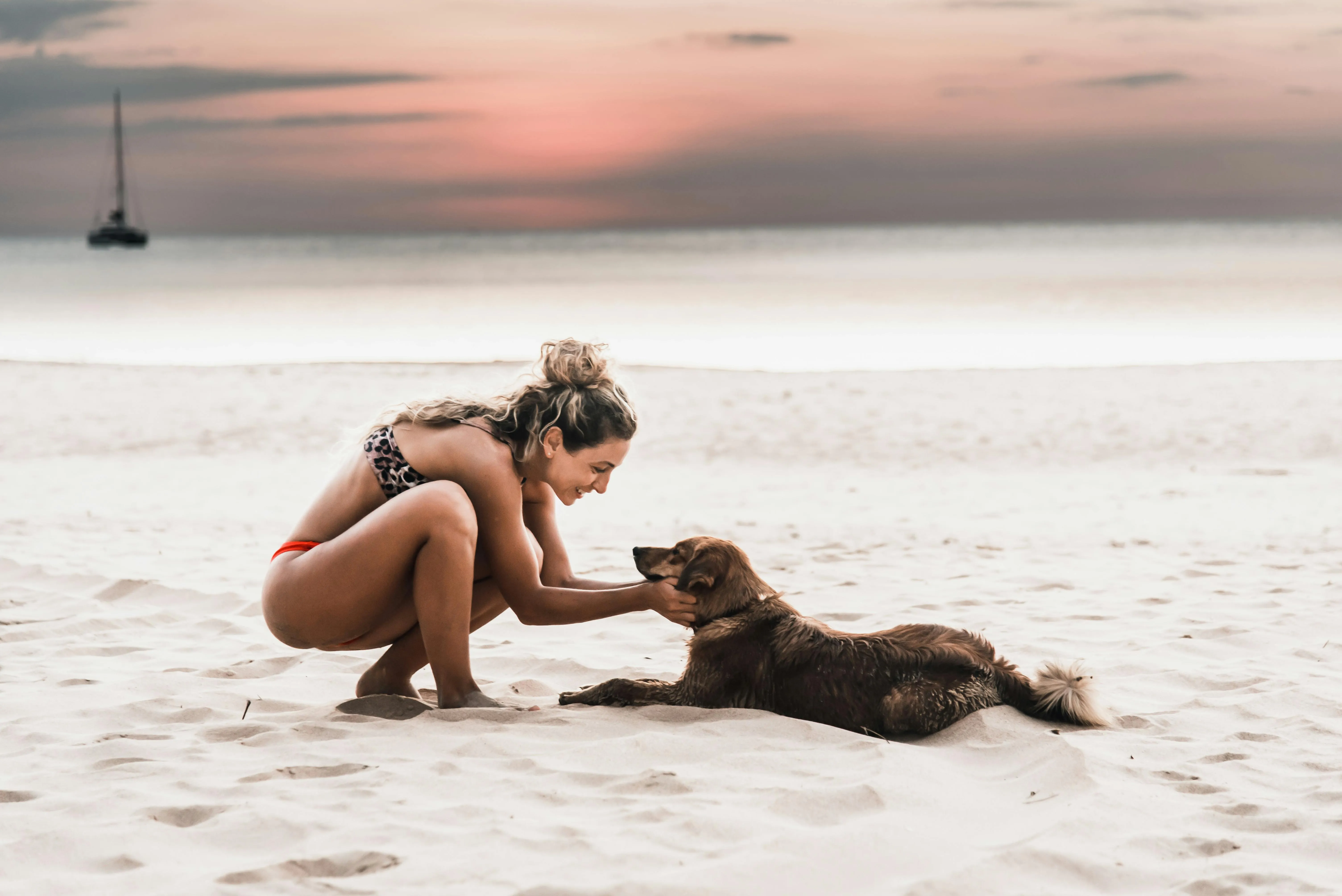 Woman Playing with a Dog on a Peaceful White Sandy Beach