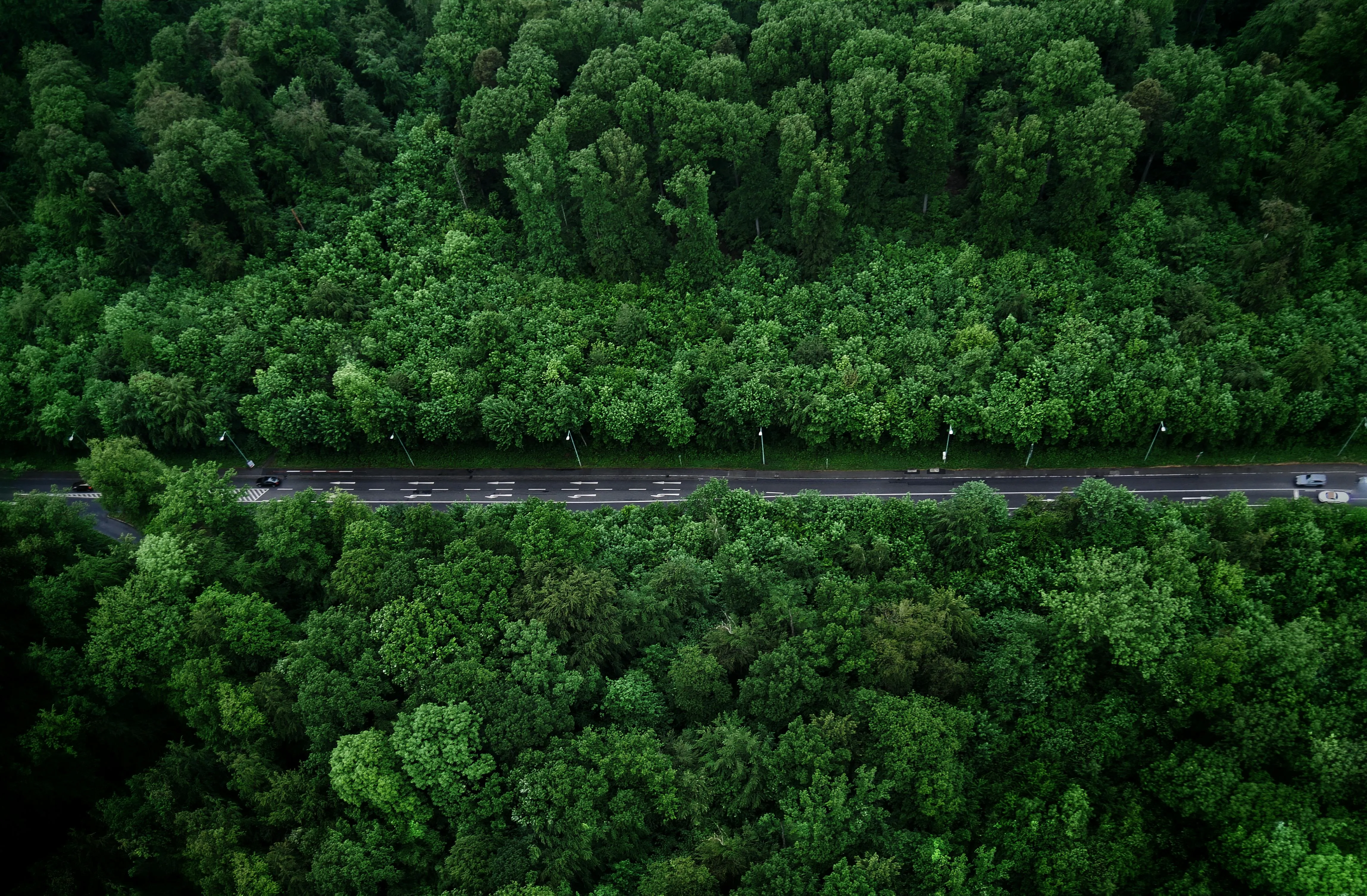 Aerial View of Dense Green Forest with Road Cutting Through