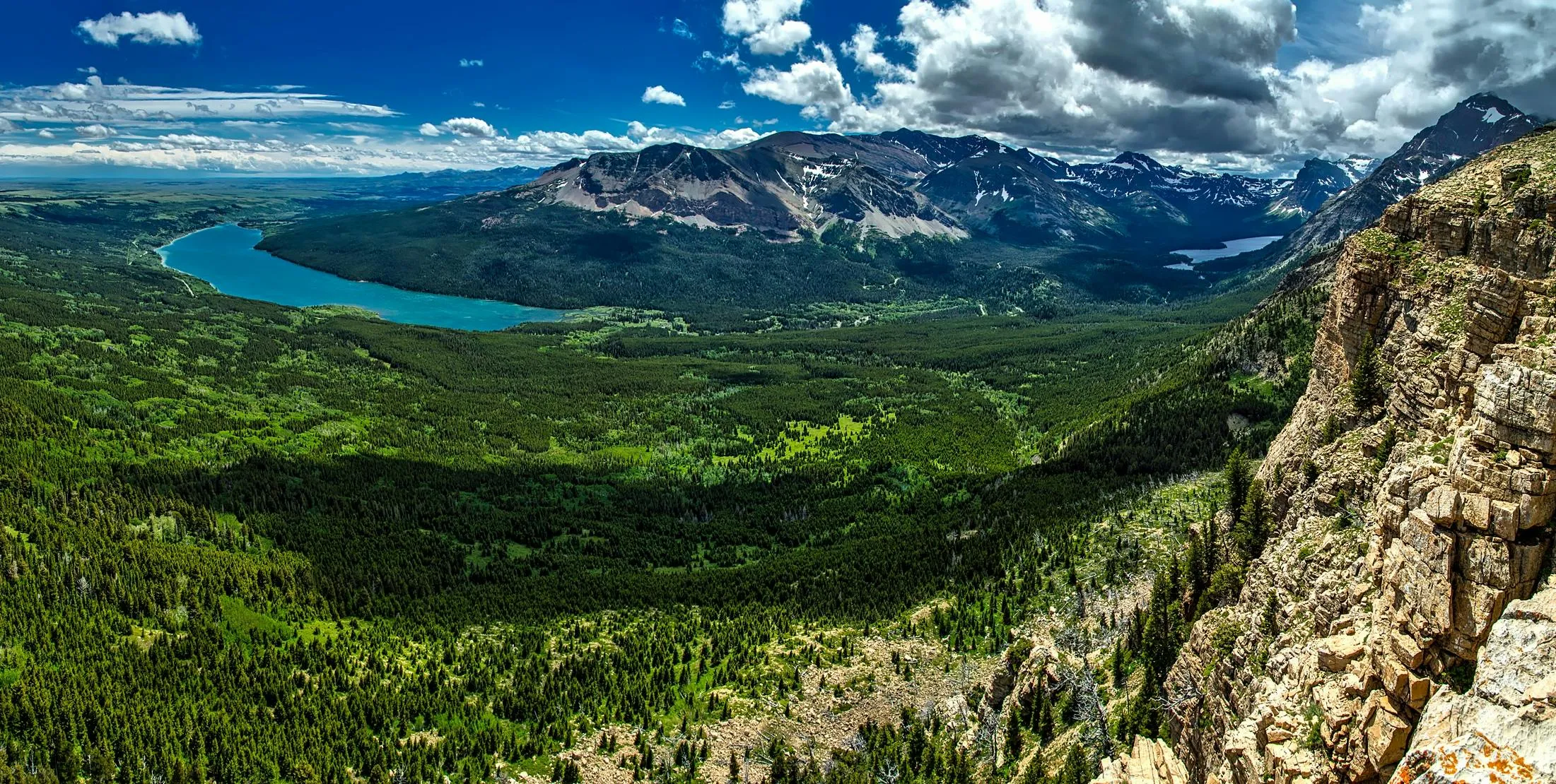 Aerial View of Forest Landscape with River and Mountains