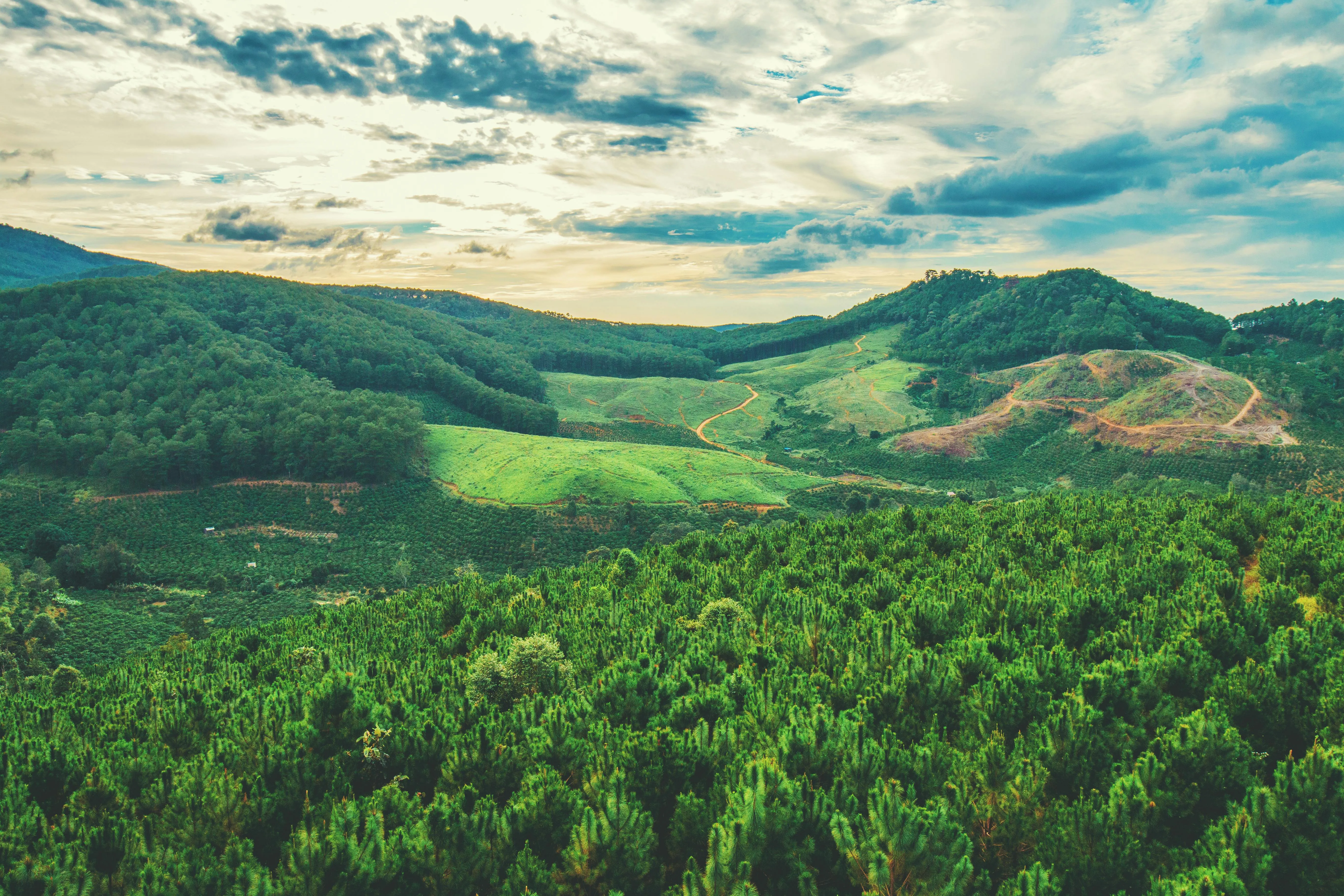 Aerial View of a Green Forest Landscape with Hills Wallpaper