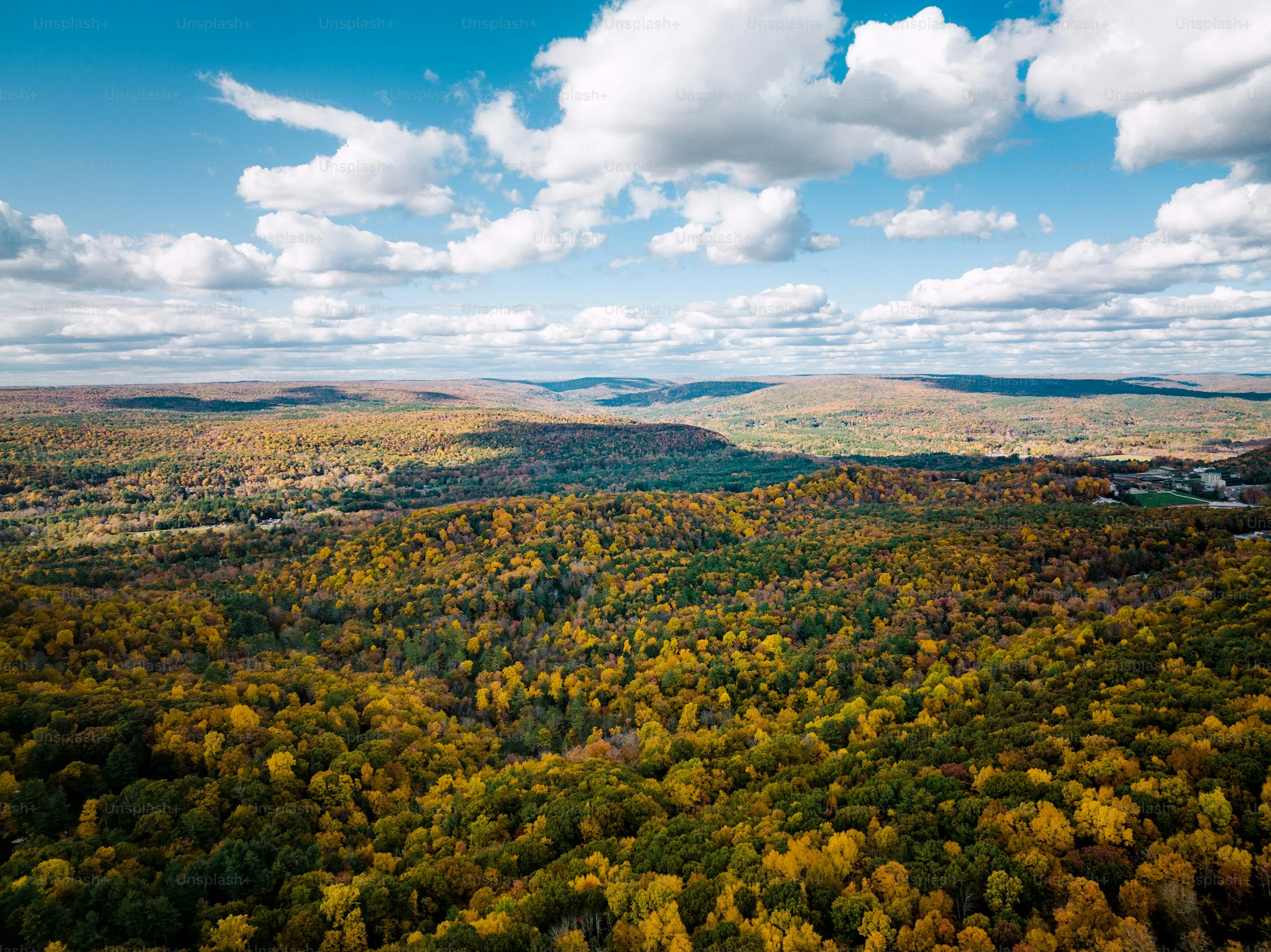 Aerial View of Forest Trees Changing Color in Autumn Season