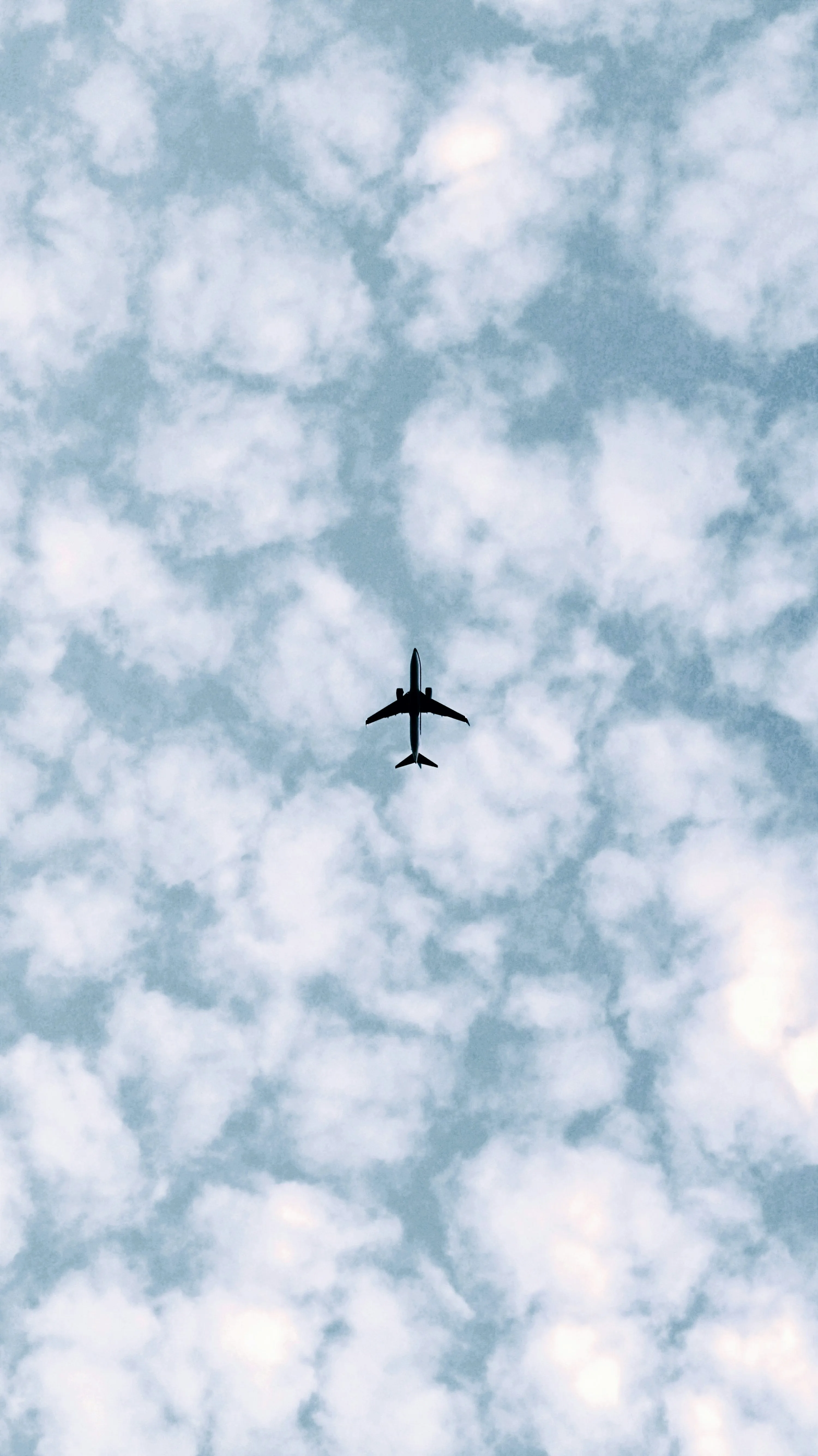 Airplane Flying Above a Blanket of Puffy White Clouds
