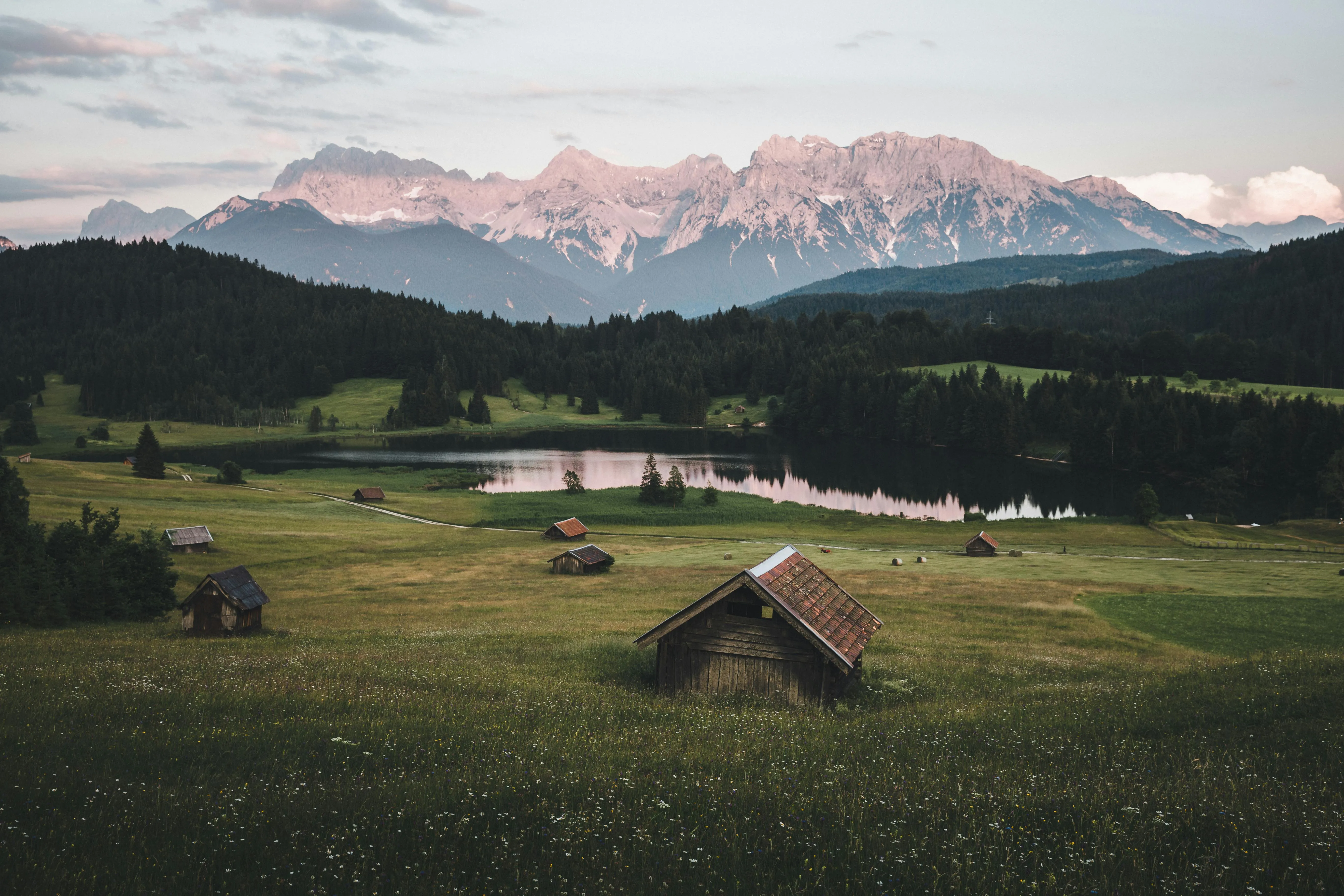 Alpine Cabins and Pine Forest with Distant Snowy Mountains