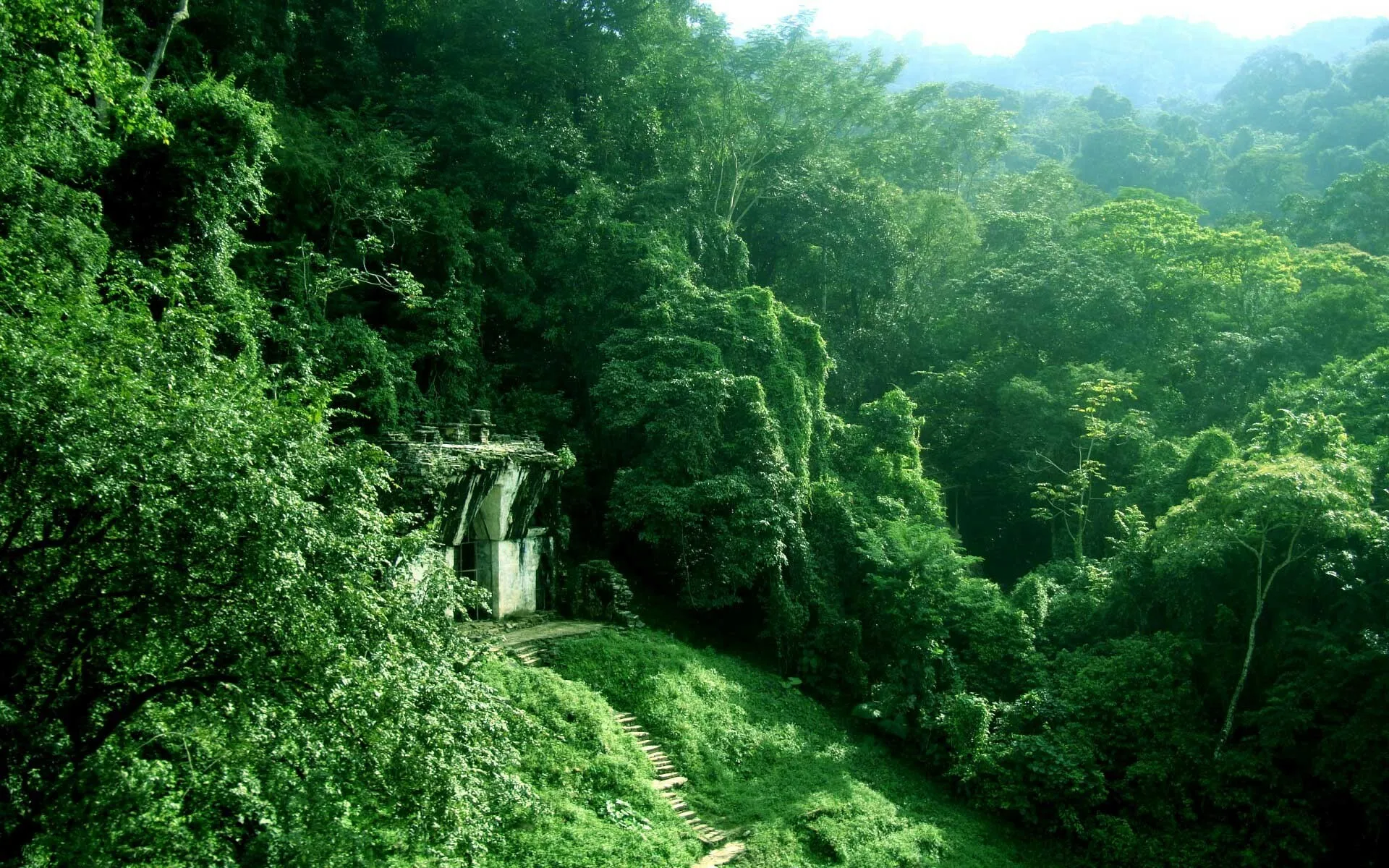 Ancient Stone Structure Hidden Deep in a Lush Green Forest