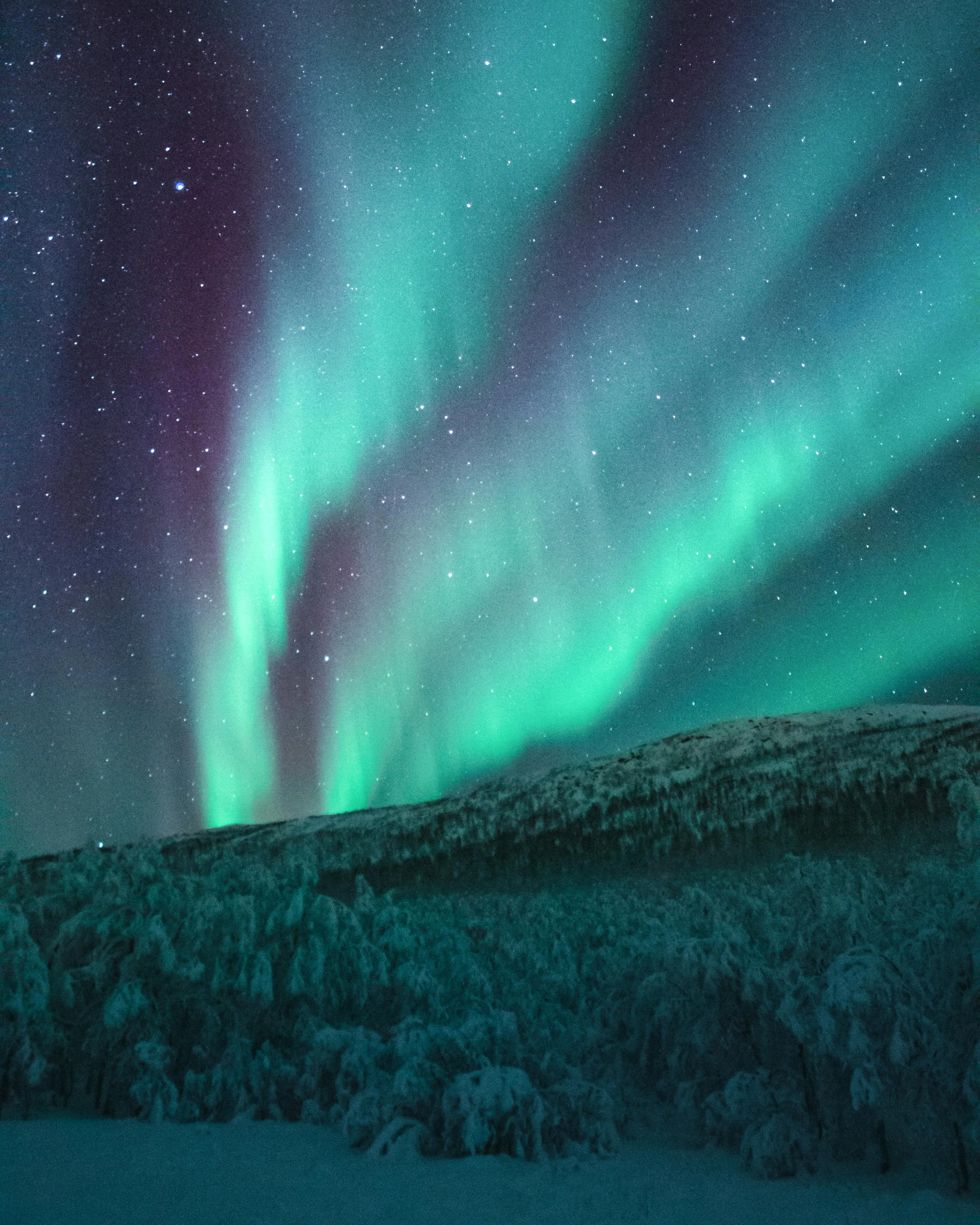 Aurora Borealis Lighting Up Night Sky Above Snowy Mountains