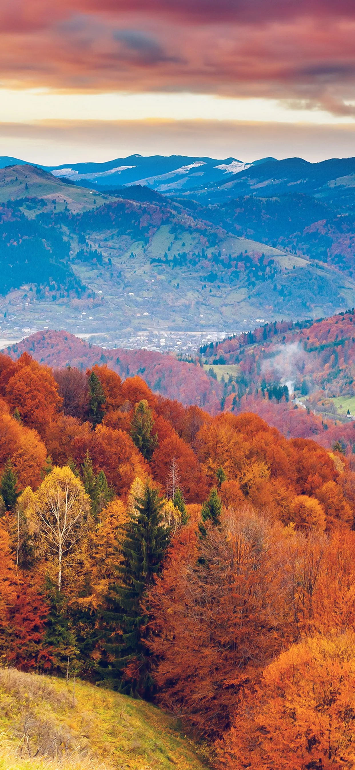 Autumn Forest on a Hillside with Colorful Trees Wallpaper