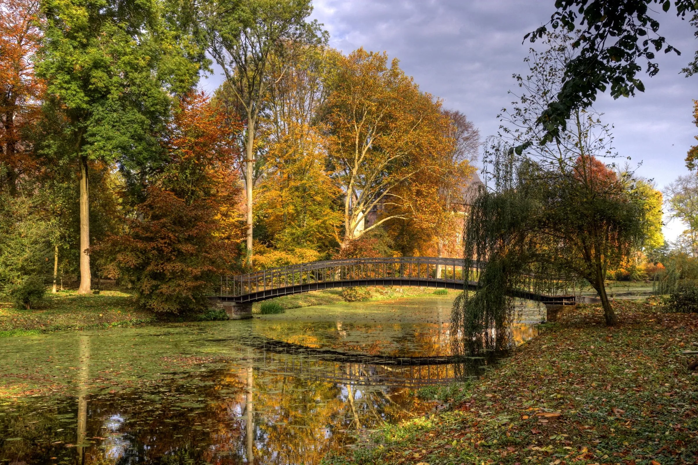 Autumn Park with Trees and Wooden Fence Along Trail