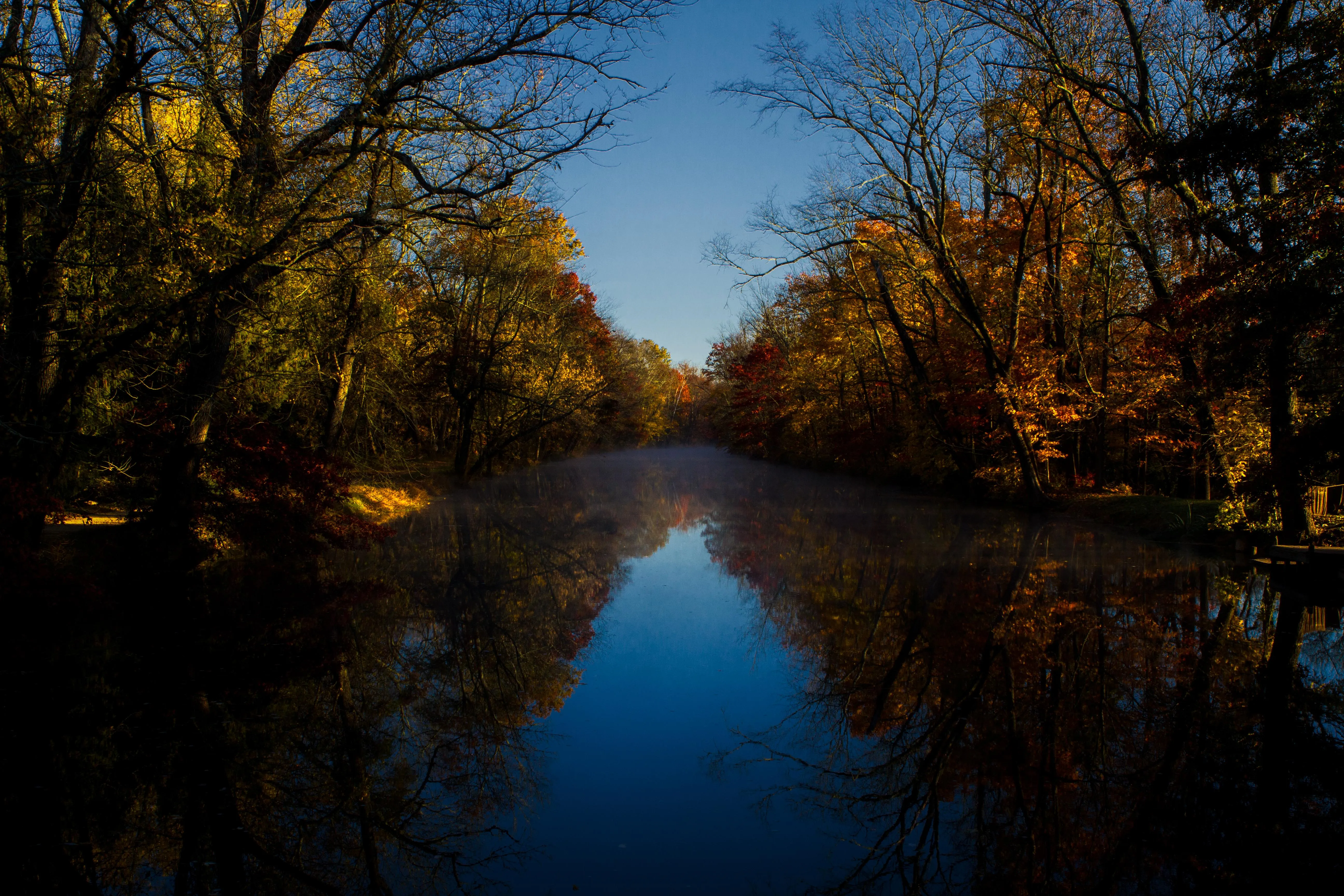 Autumn trees reflected in calm river running through woods