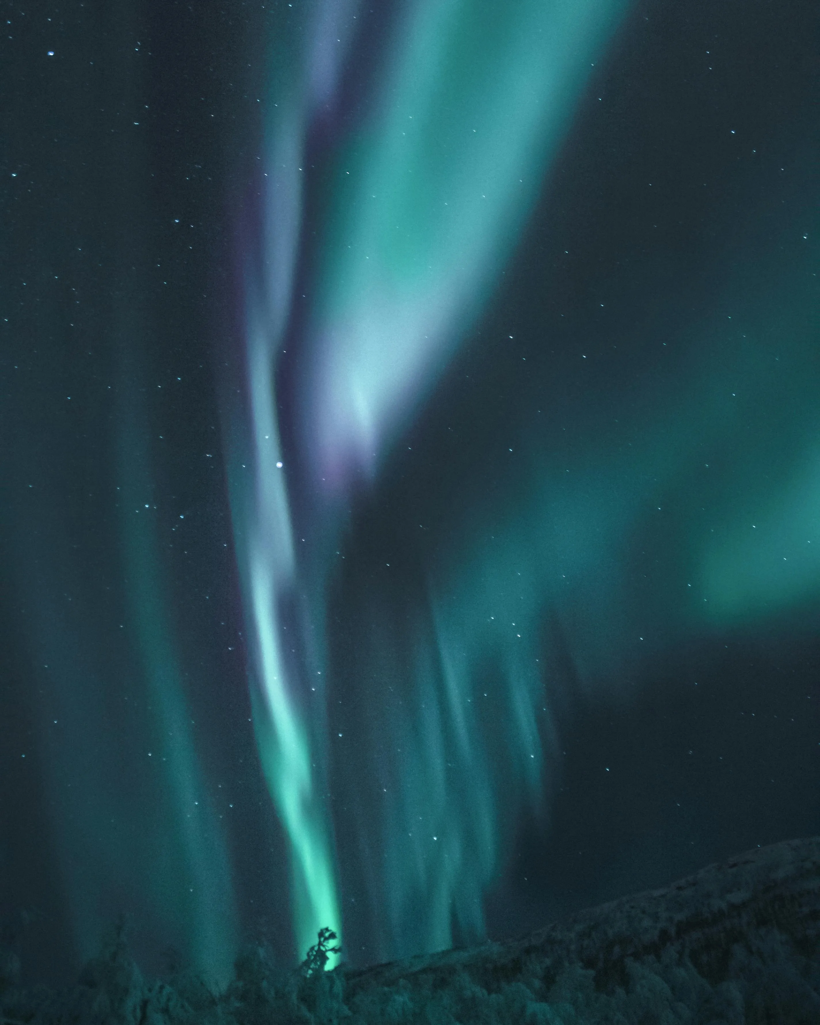 Beautiful Northern Lights Display in a Dark Winter Sky