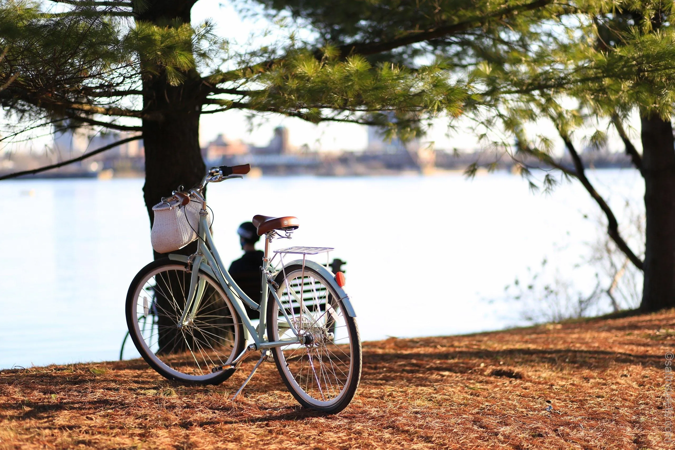 Bicycle Parked Under Tree Beside Calm River Path Wallpaper