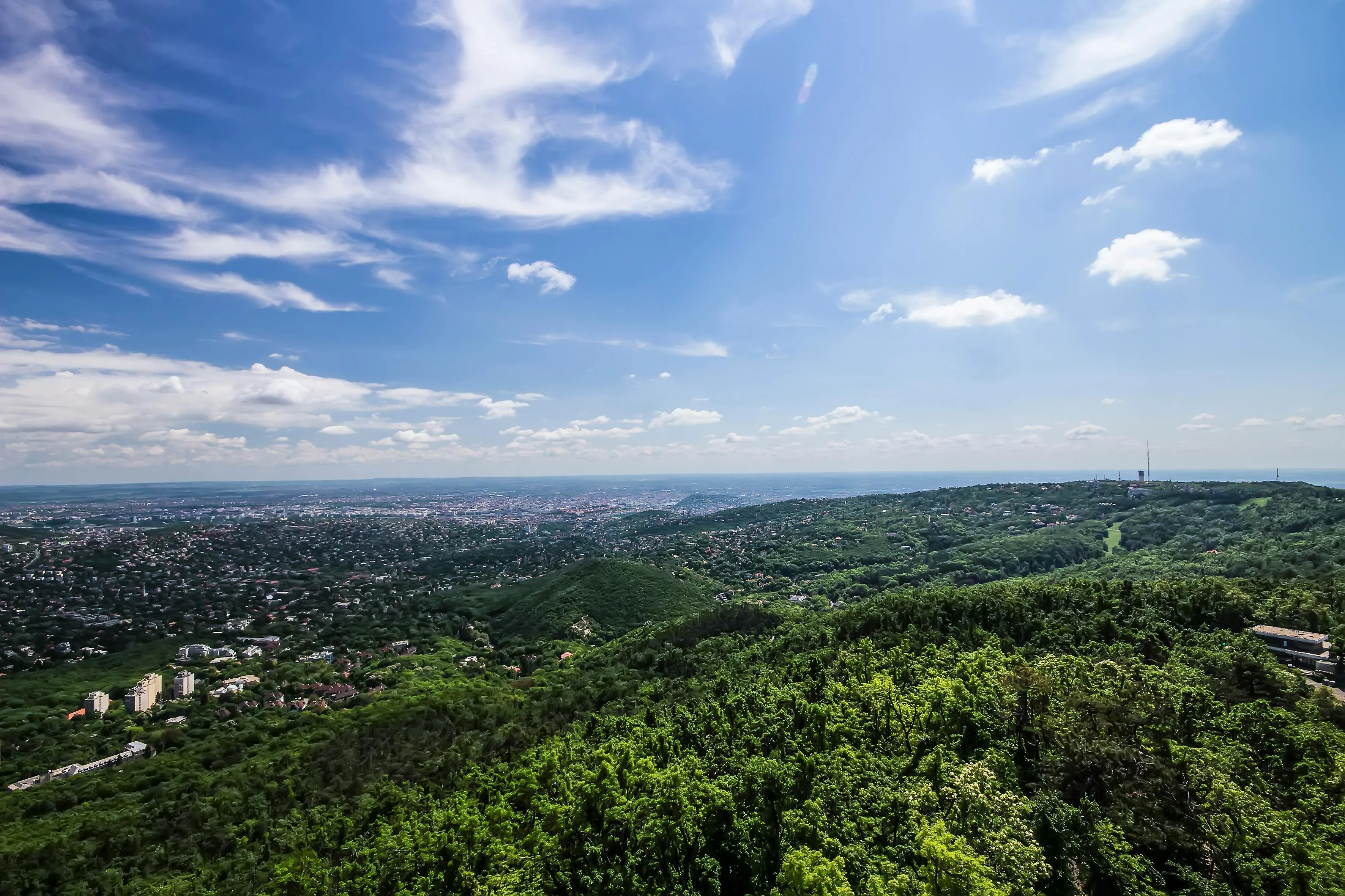 Birds Eye View of Green Landscape Under Blue Sky Image