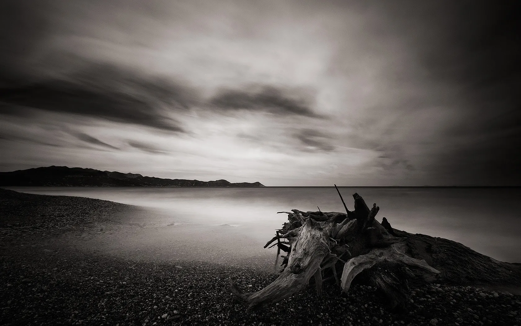 Black and White Image of Driftwood on Beach Under Sky