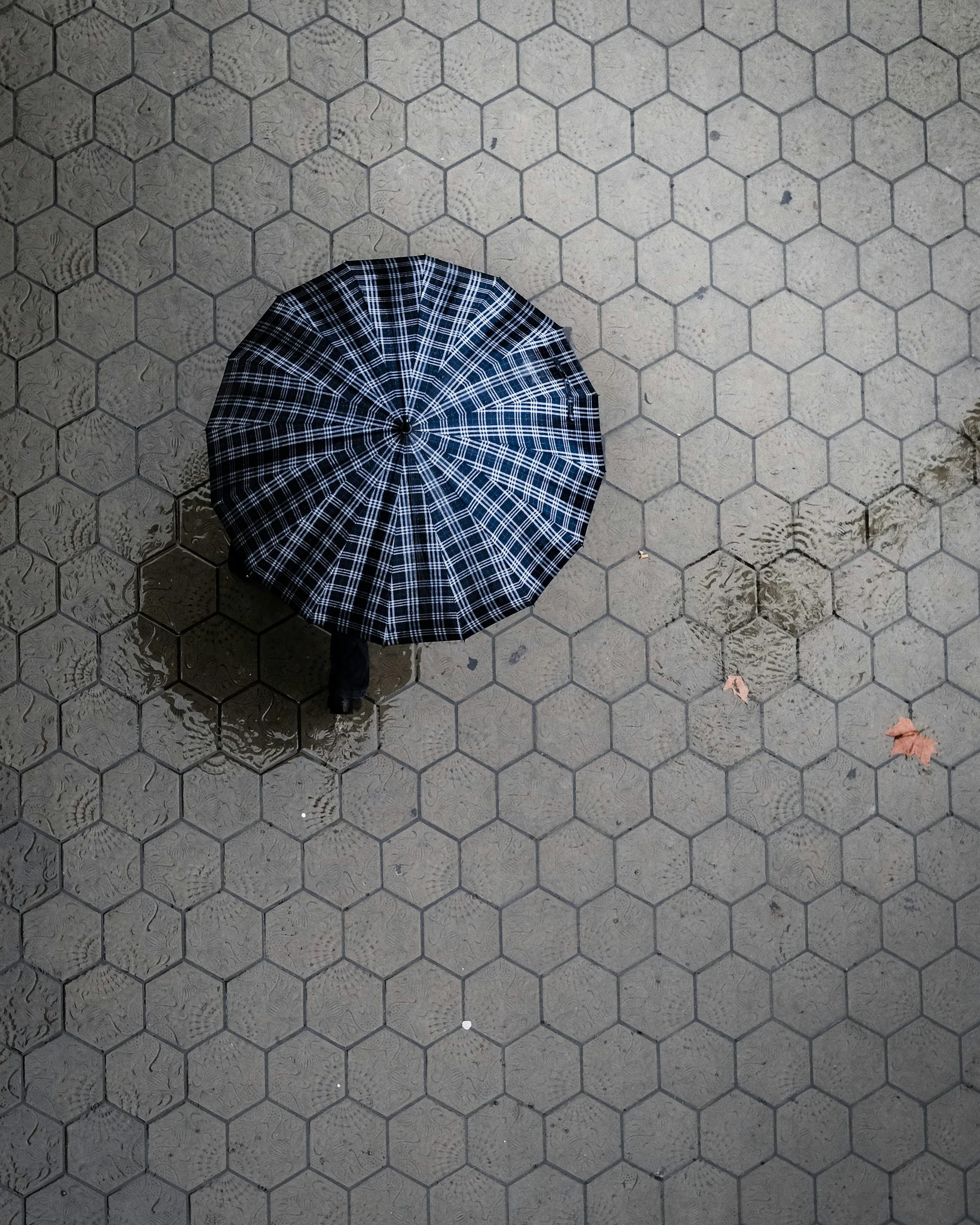 Black Umbrella Resting on Tile Floor After Rainfall