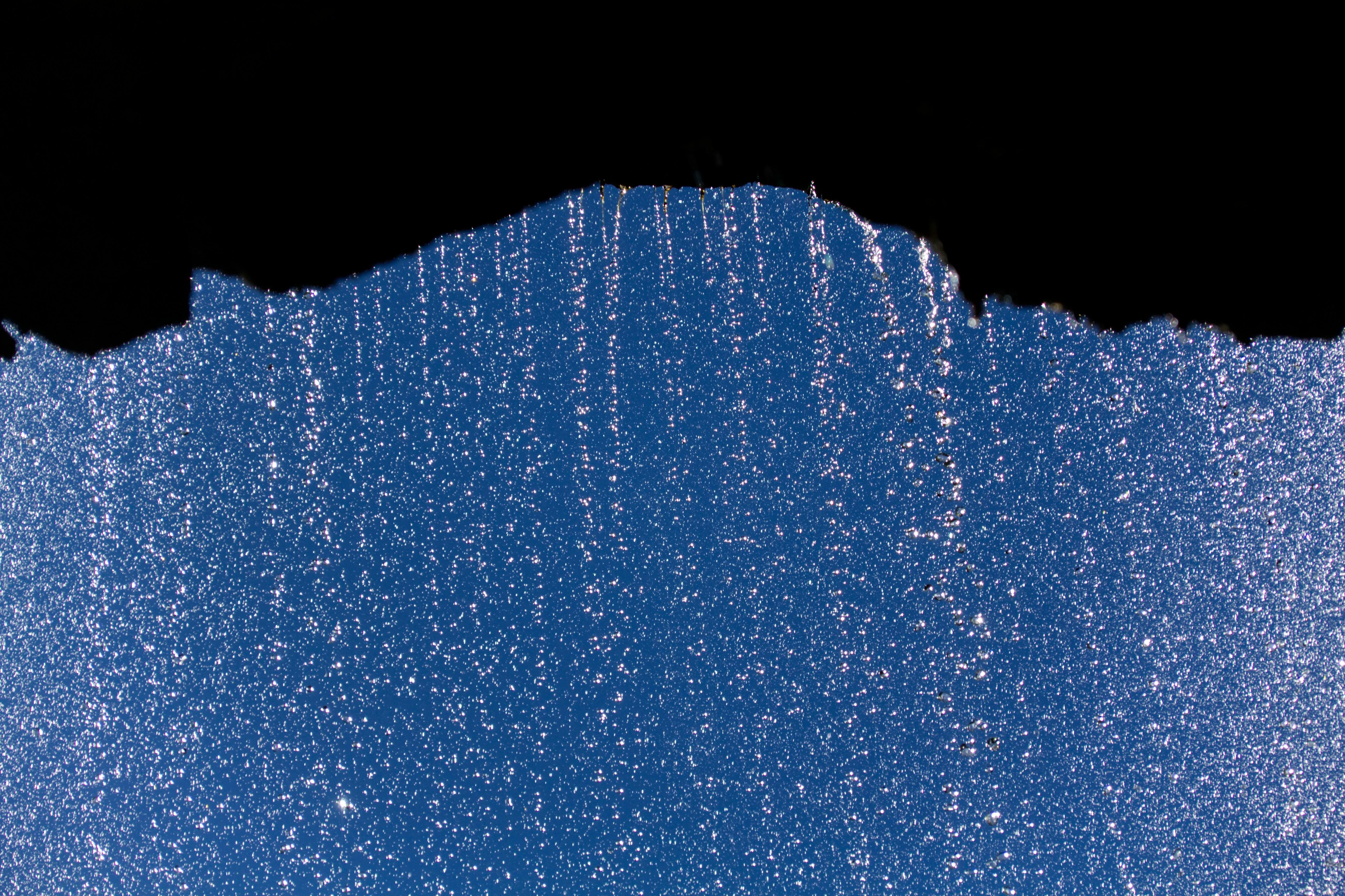 Blue Curtain of Rain Falling in Abstract Form Wallpaper