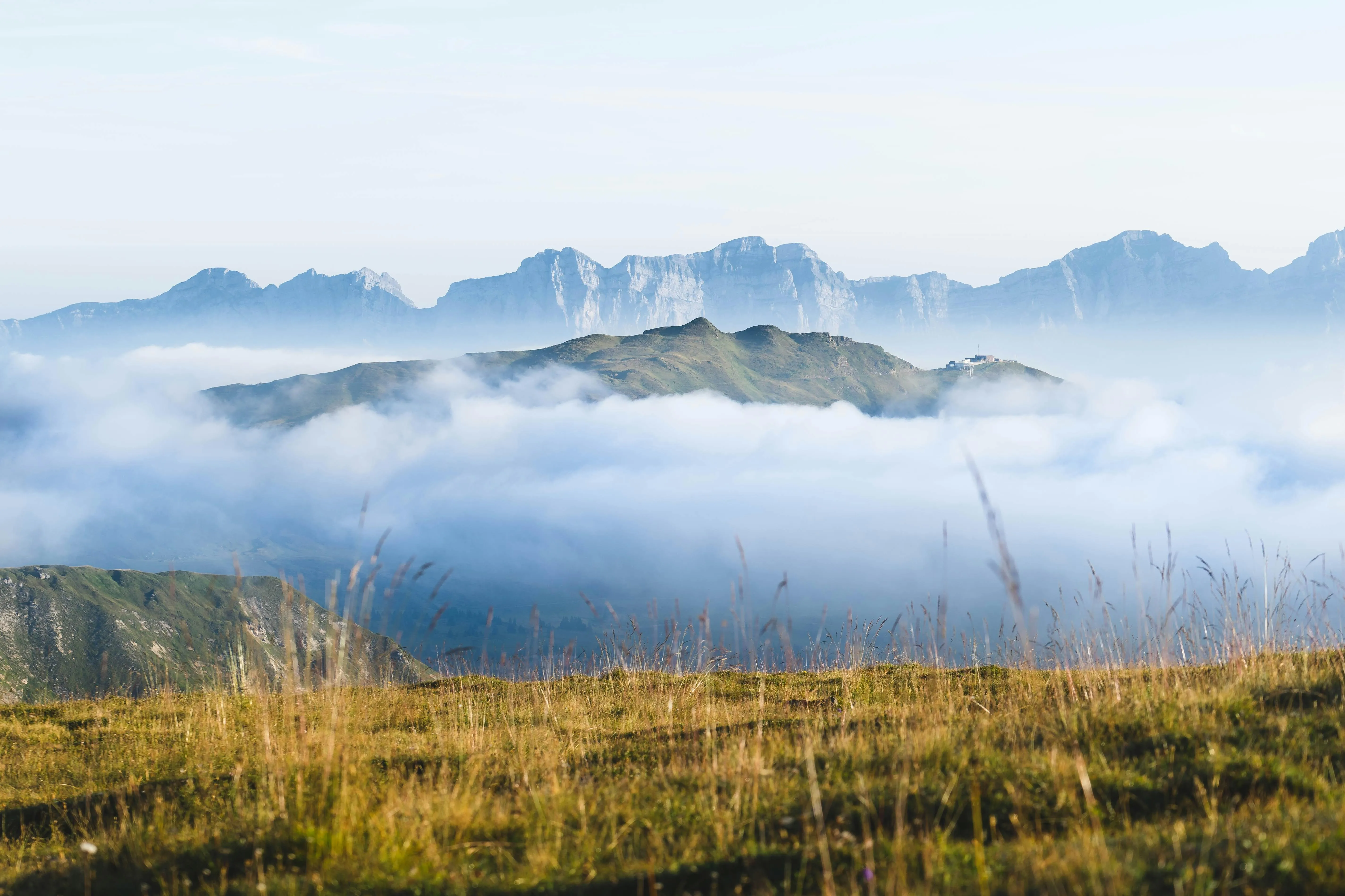 Blue lake with yellow fields and distant snowy peaks