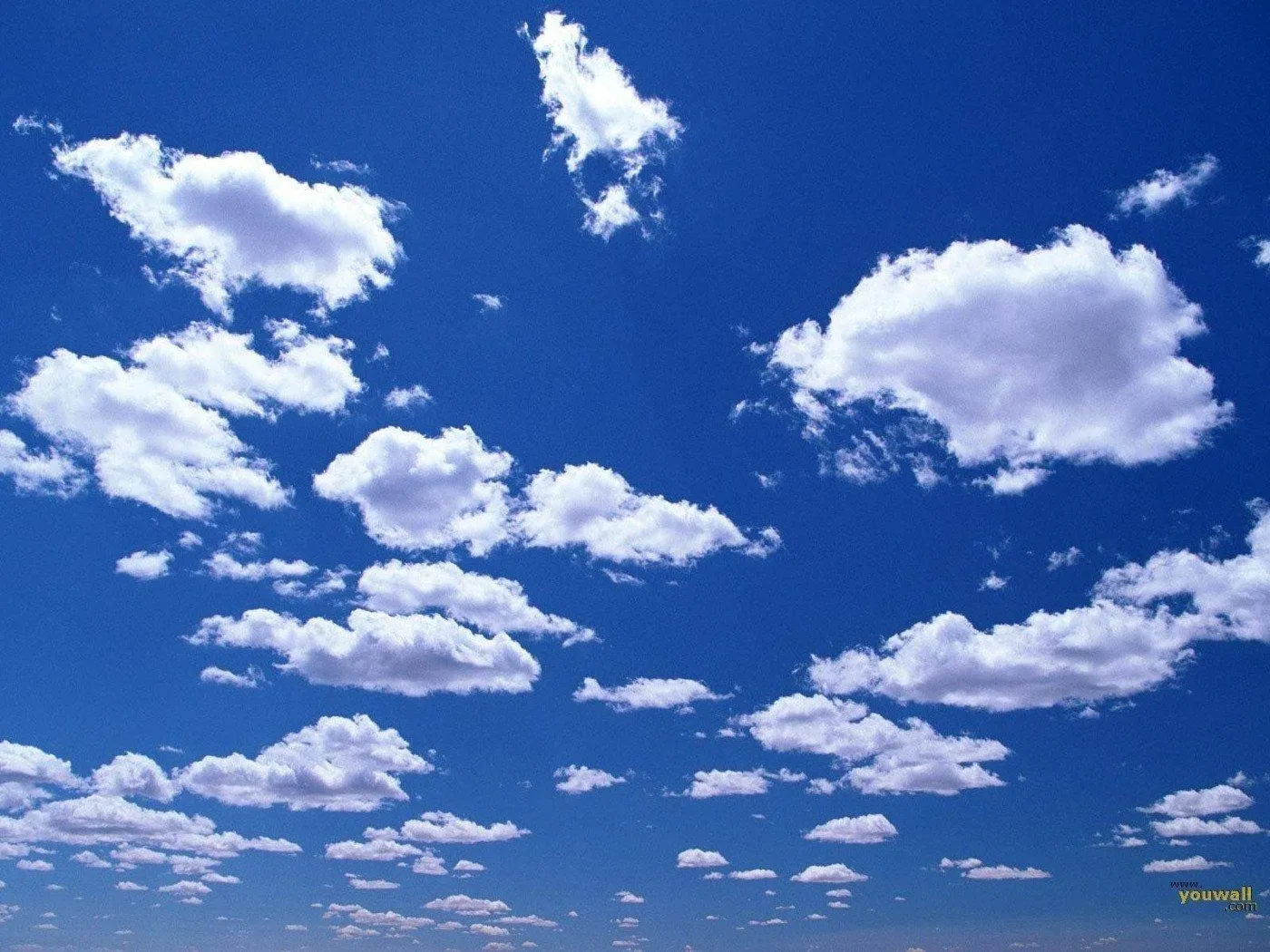 Blue Sky Filled with Many Small White Puffy Clouds Image
